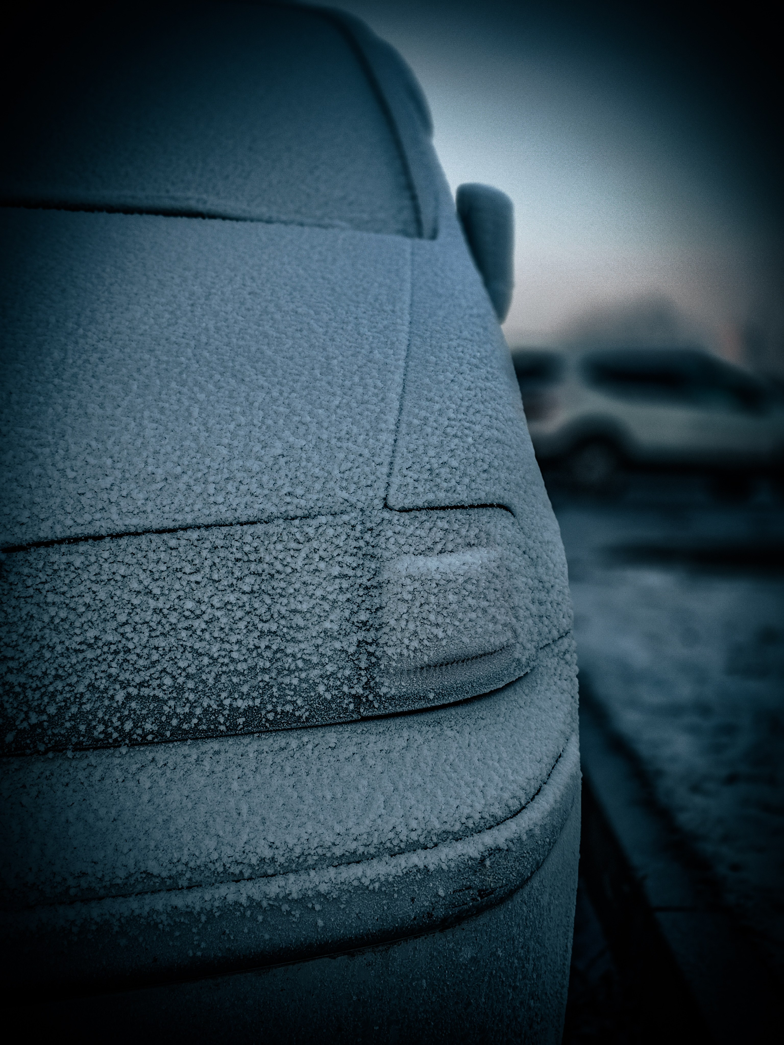 Скоро лето. Игорь Урывский. Фотограф Красноярск