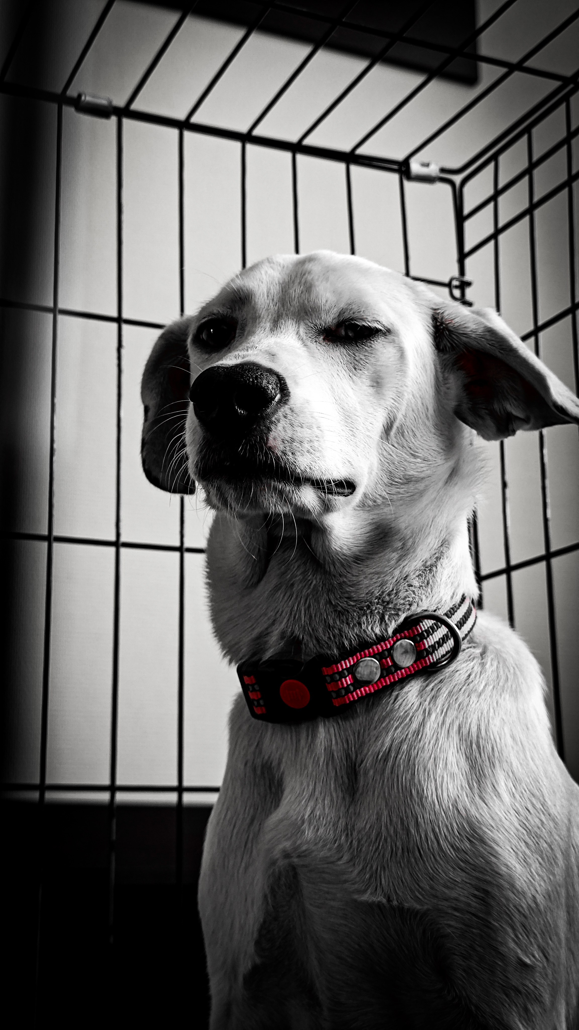 Ожидание. Игорь Урывский. Фотограф Красноярск