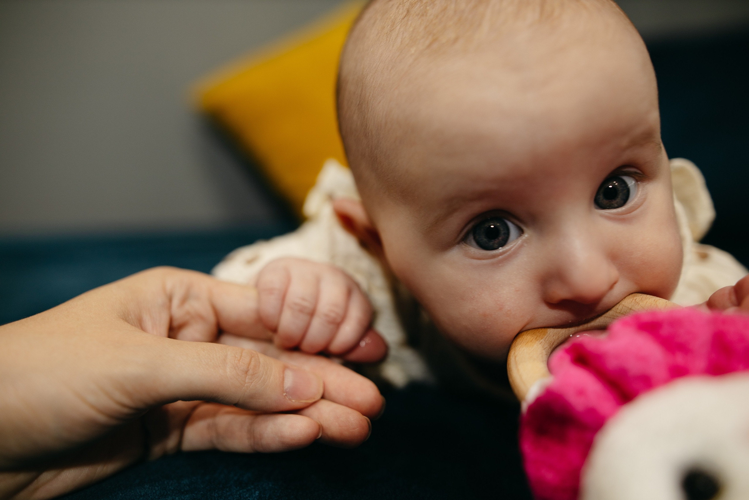 Домашняя. Свадебный и женский фотограф