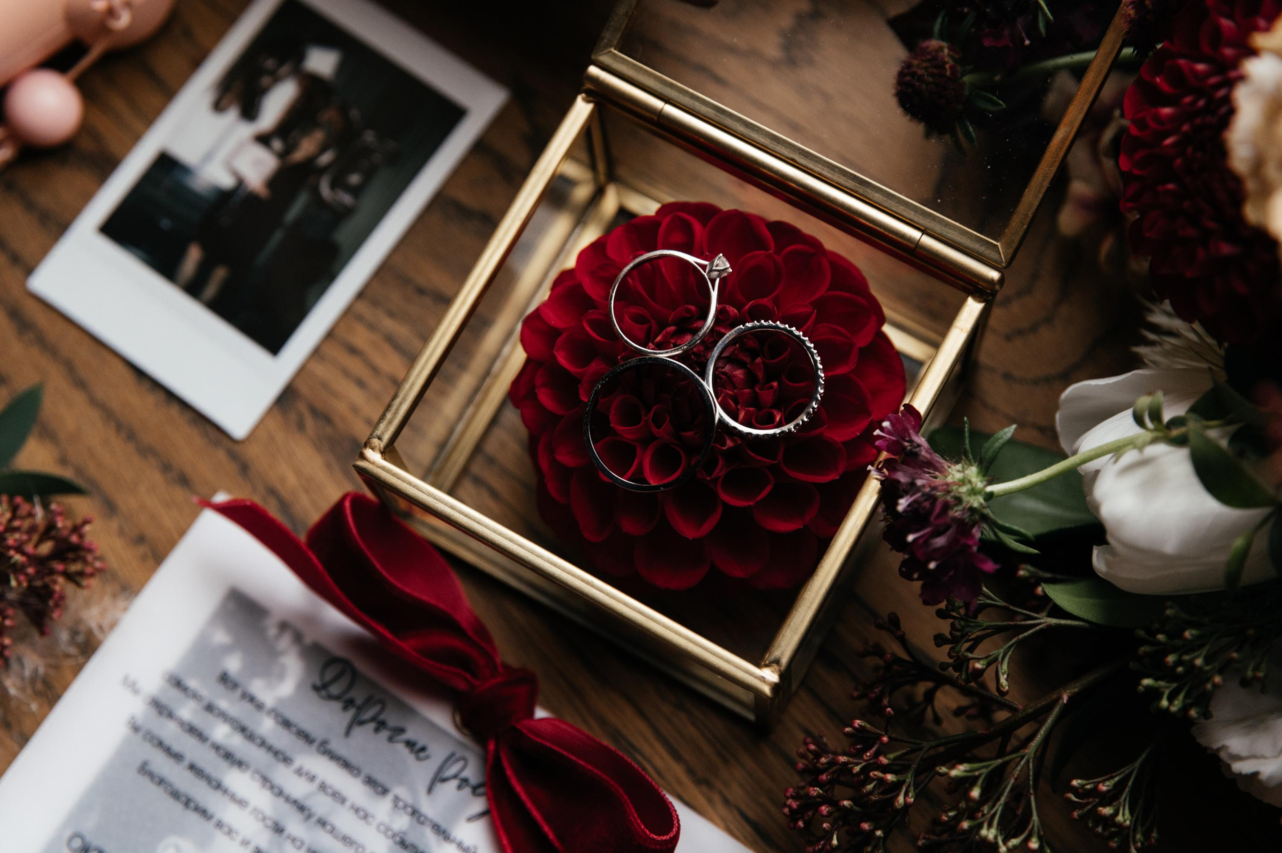 Wedding and family photographer in Dubai Vasilii Albul