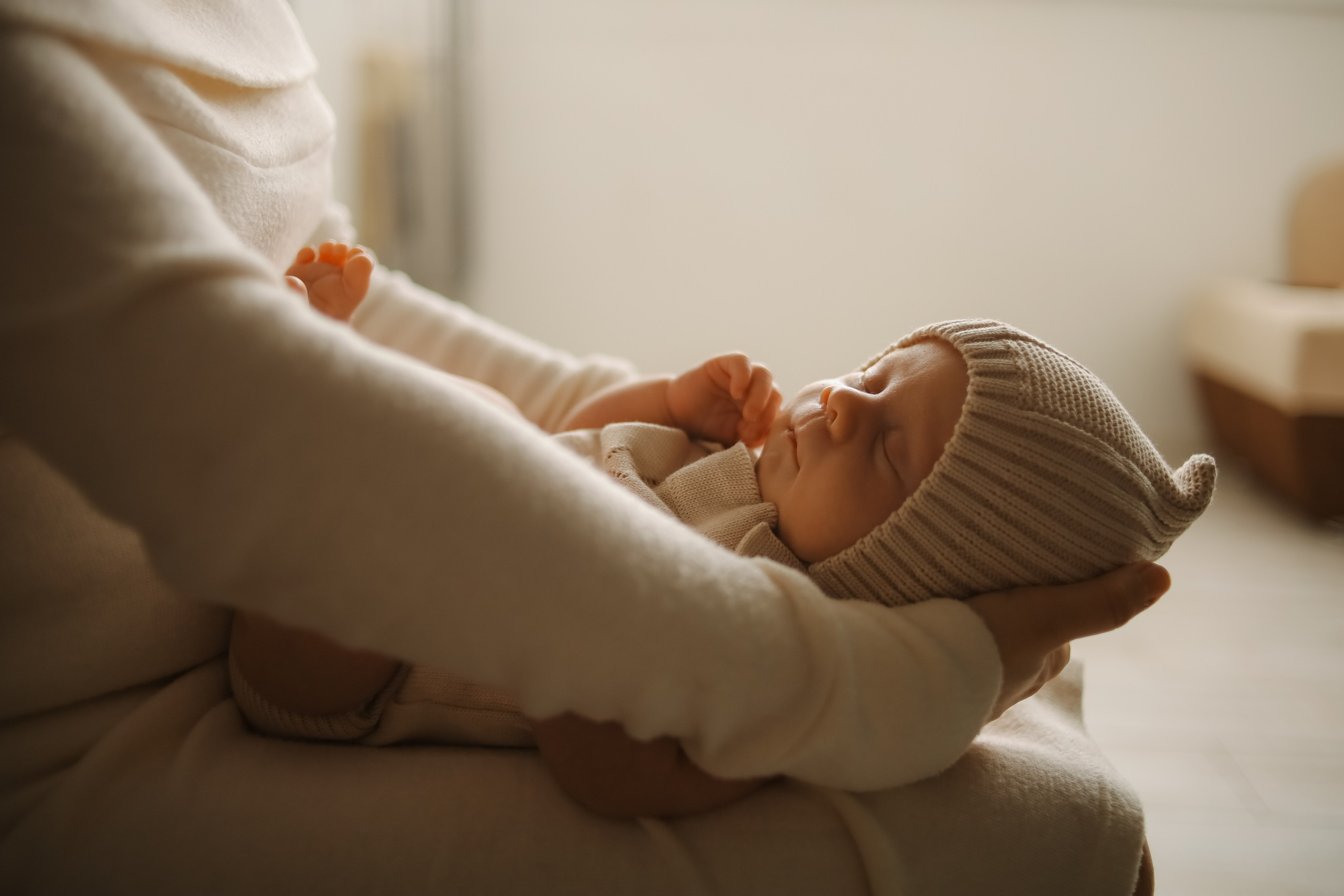 Лев. Phbyadel.wfolio.pro