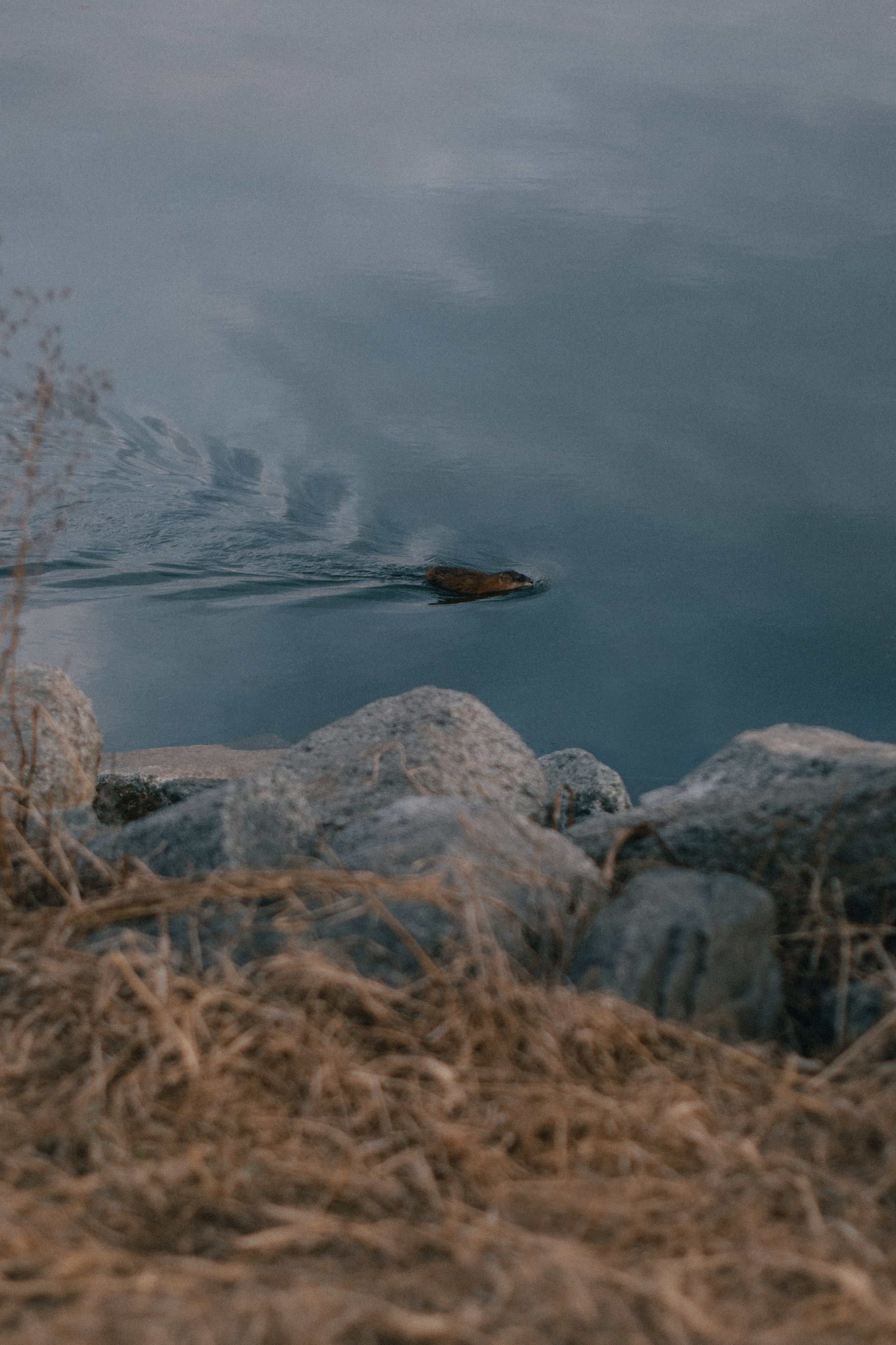 Таня. Смолино. Фотограф в Челябинске Любовь Денисенко