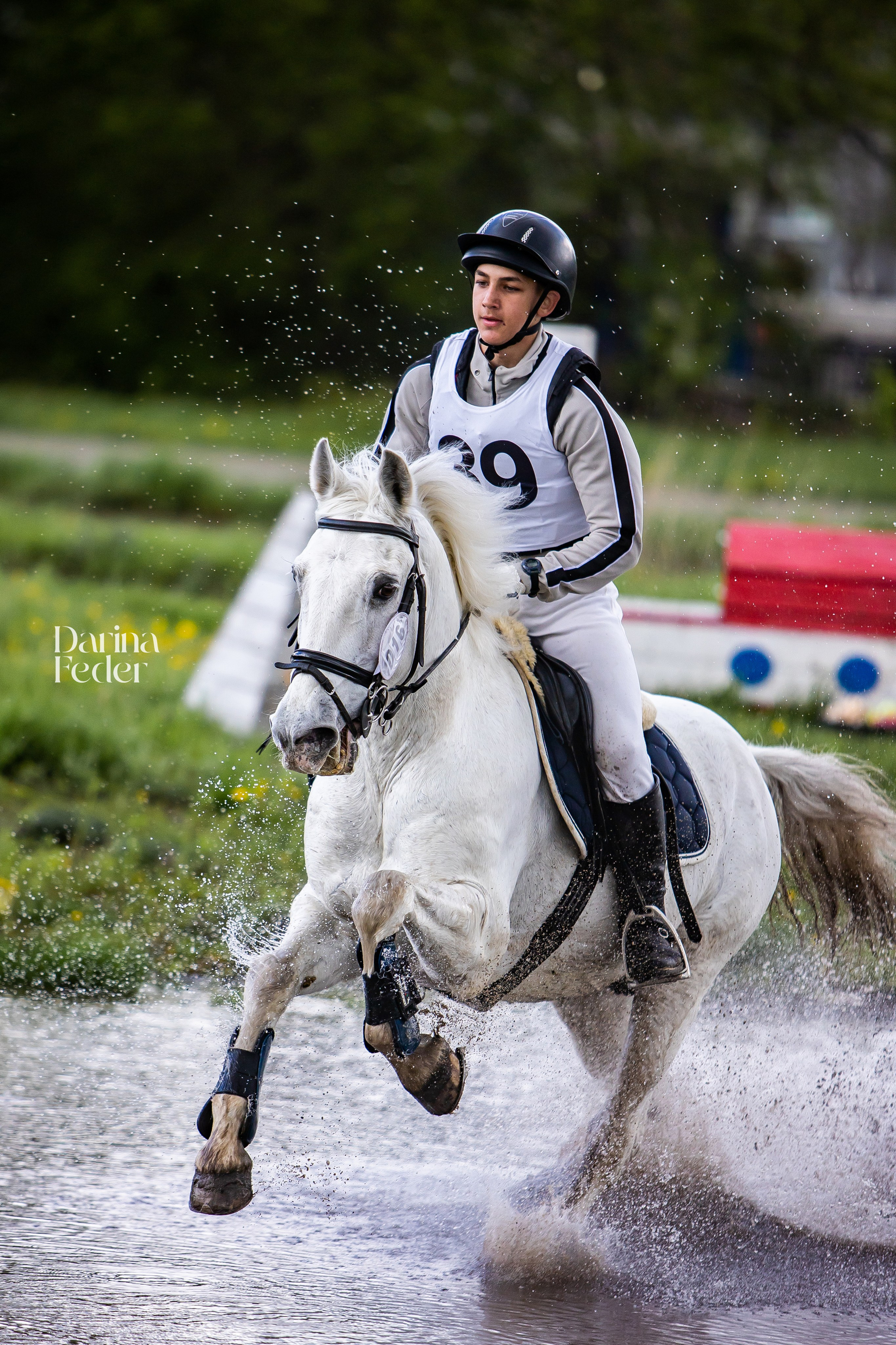 Репортаж соревнований. Главная