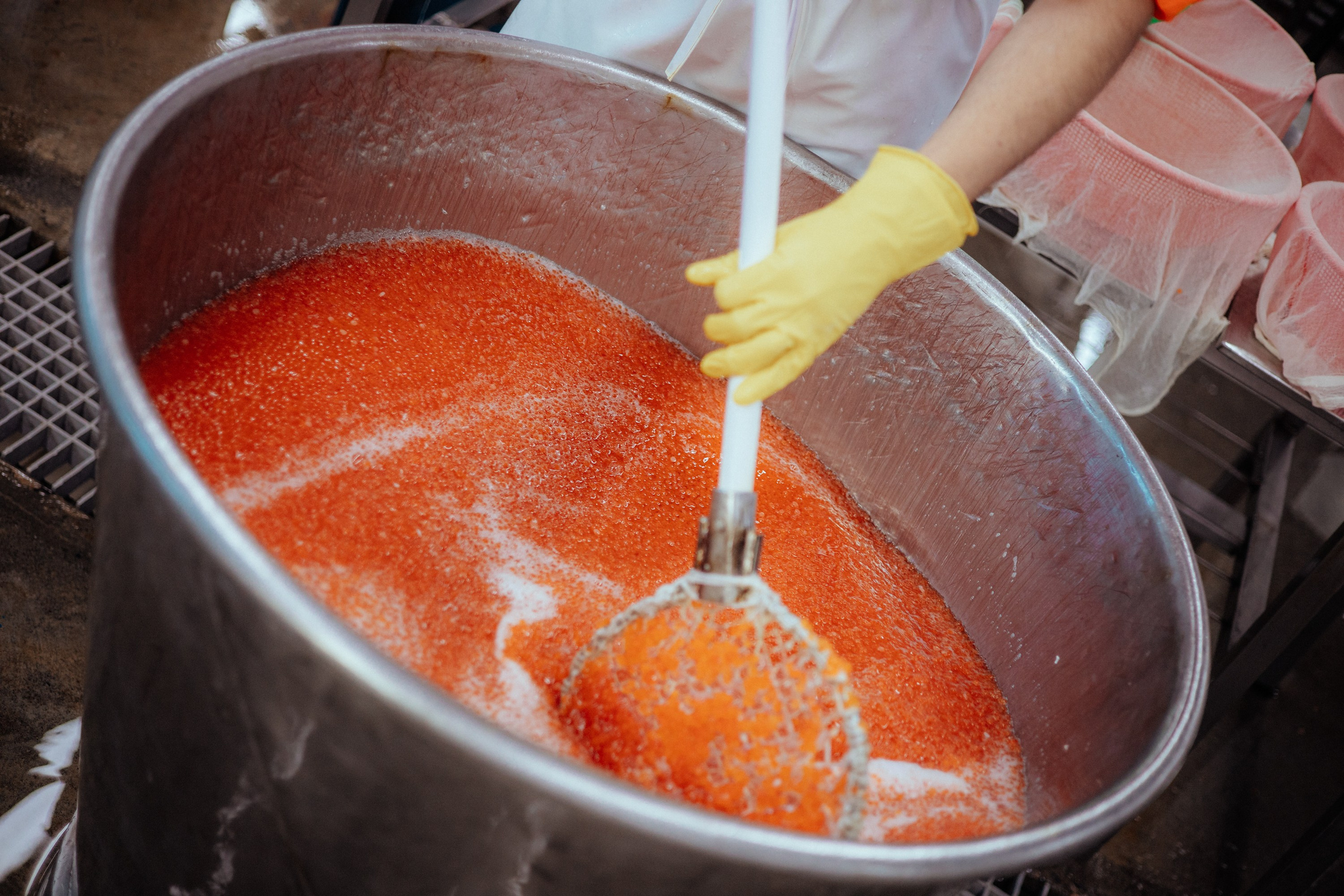 Ооо «лойд-фиш» | камчатка-2025