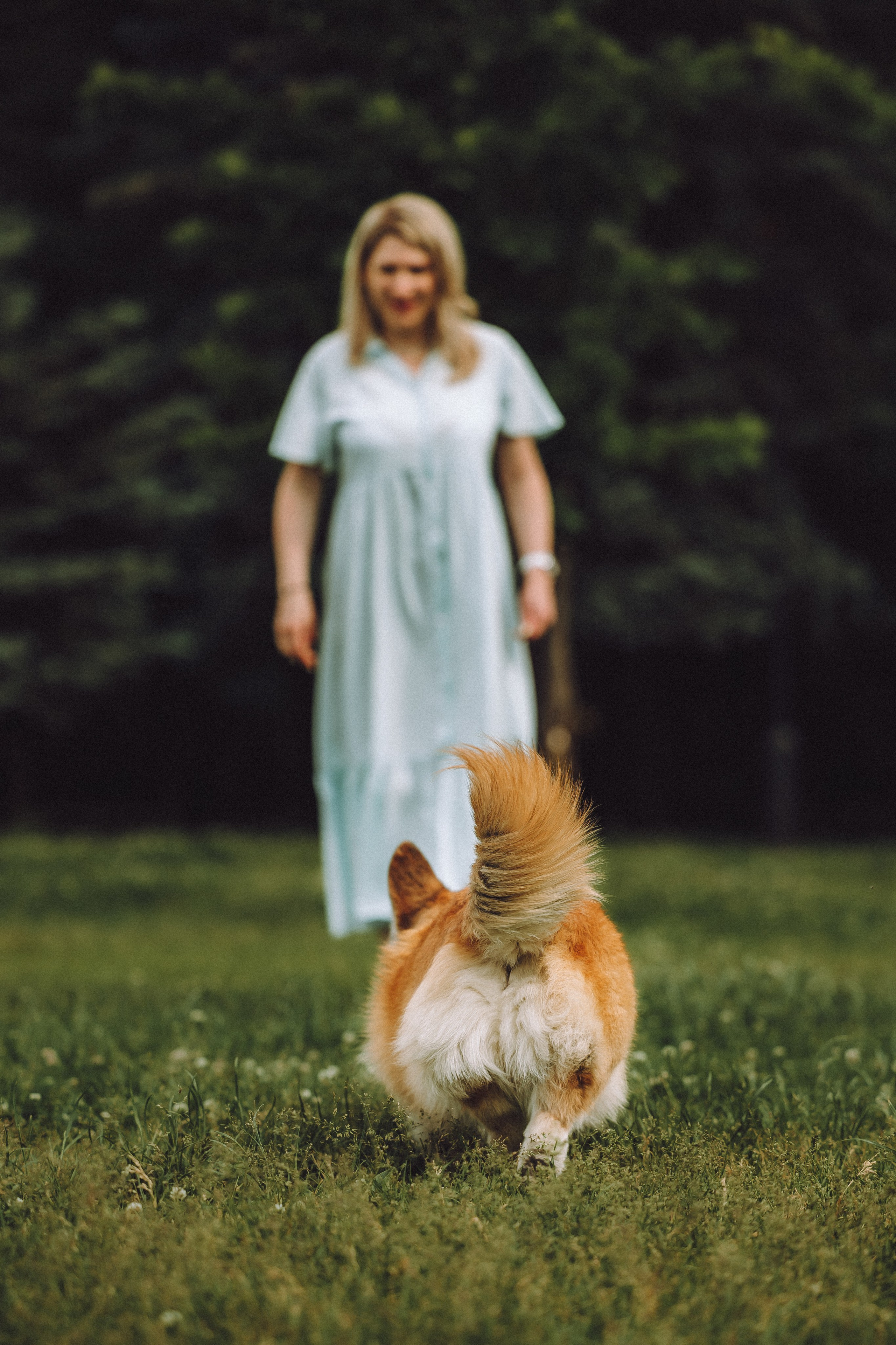 Ира, Леша и Харли