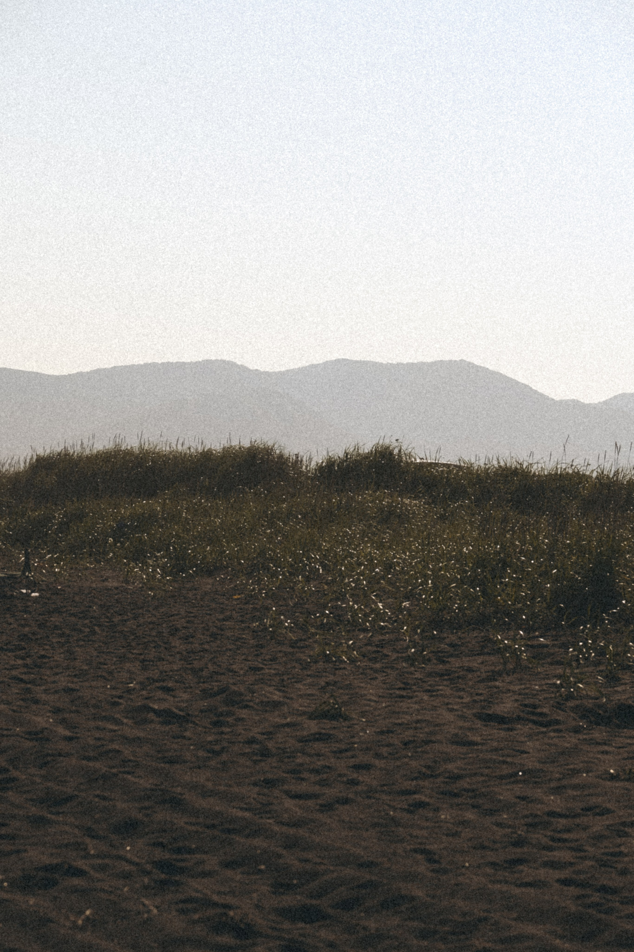 Тихий океан. Профессиональный фотограф, Санкт-Петербург — Виктория Богомолова