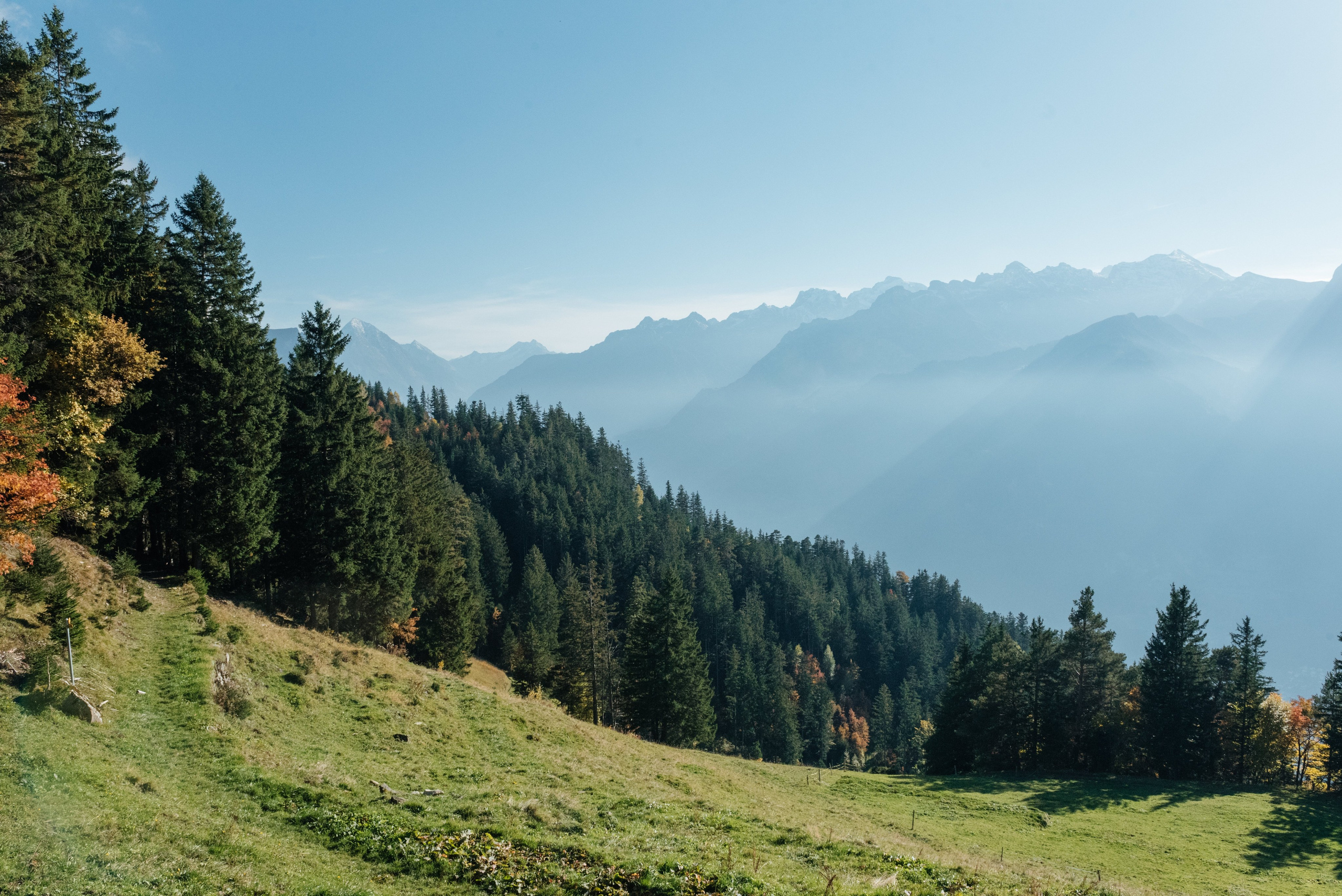 Анна & Сергей (Бауэн, Швейцария). Фотограф в Швейцарии и Европе Анна Алексеенко