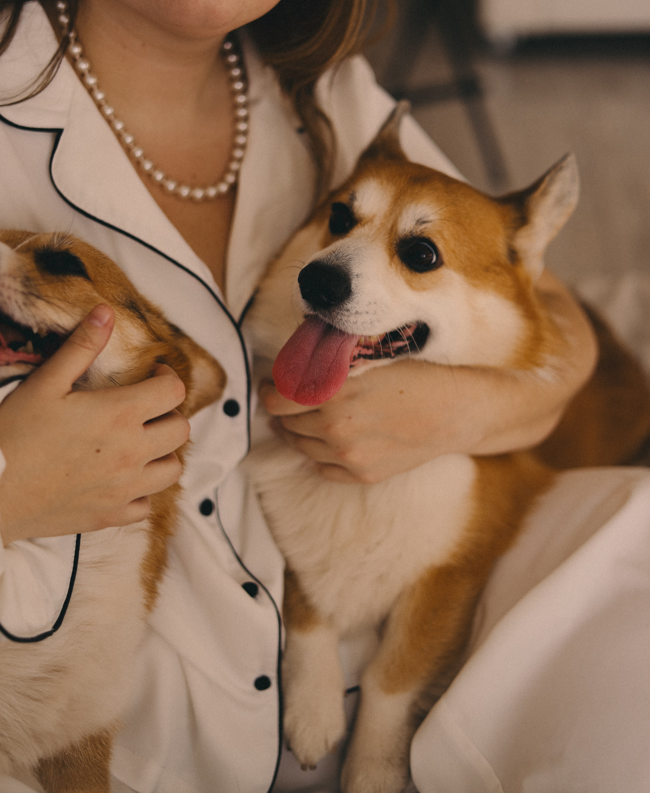 Виктория и Корги. Фотограф Мария Лаенко