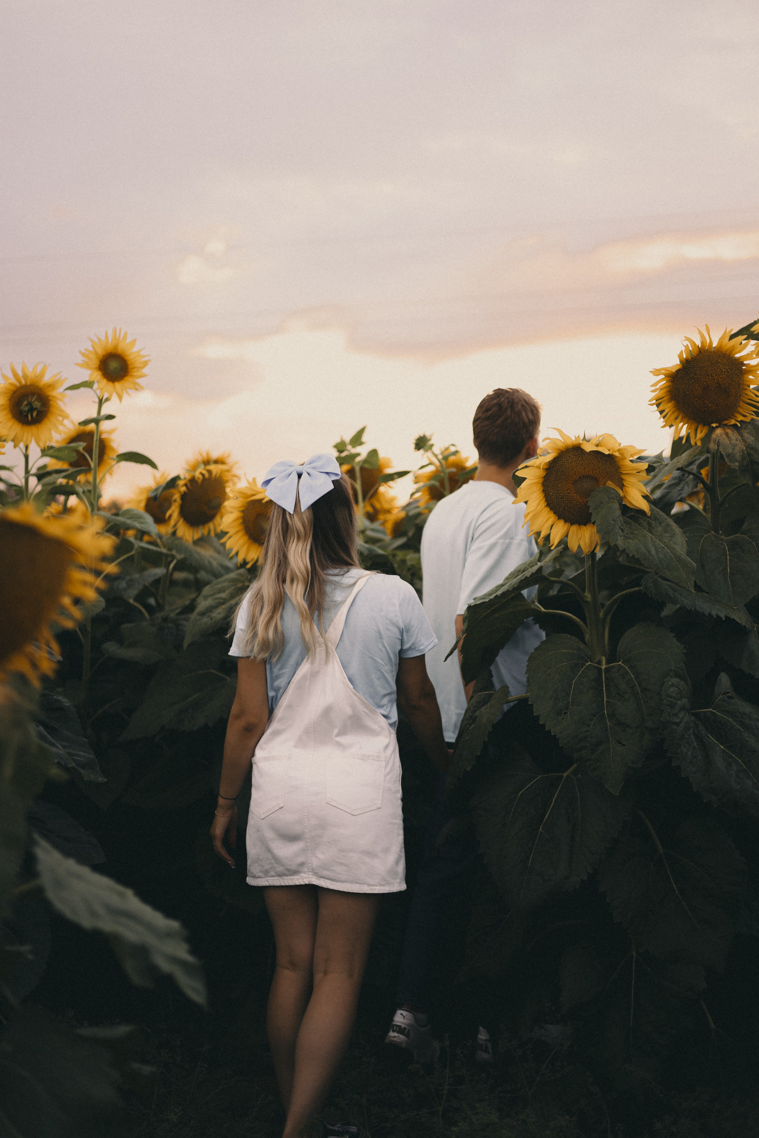 Михаил и Валерия | Подсолнухи. Фотограф Мария Лаенко