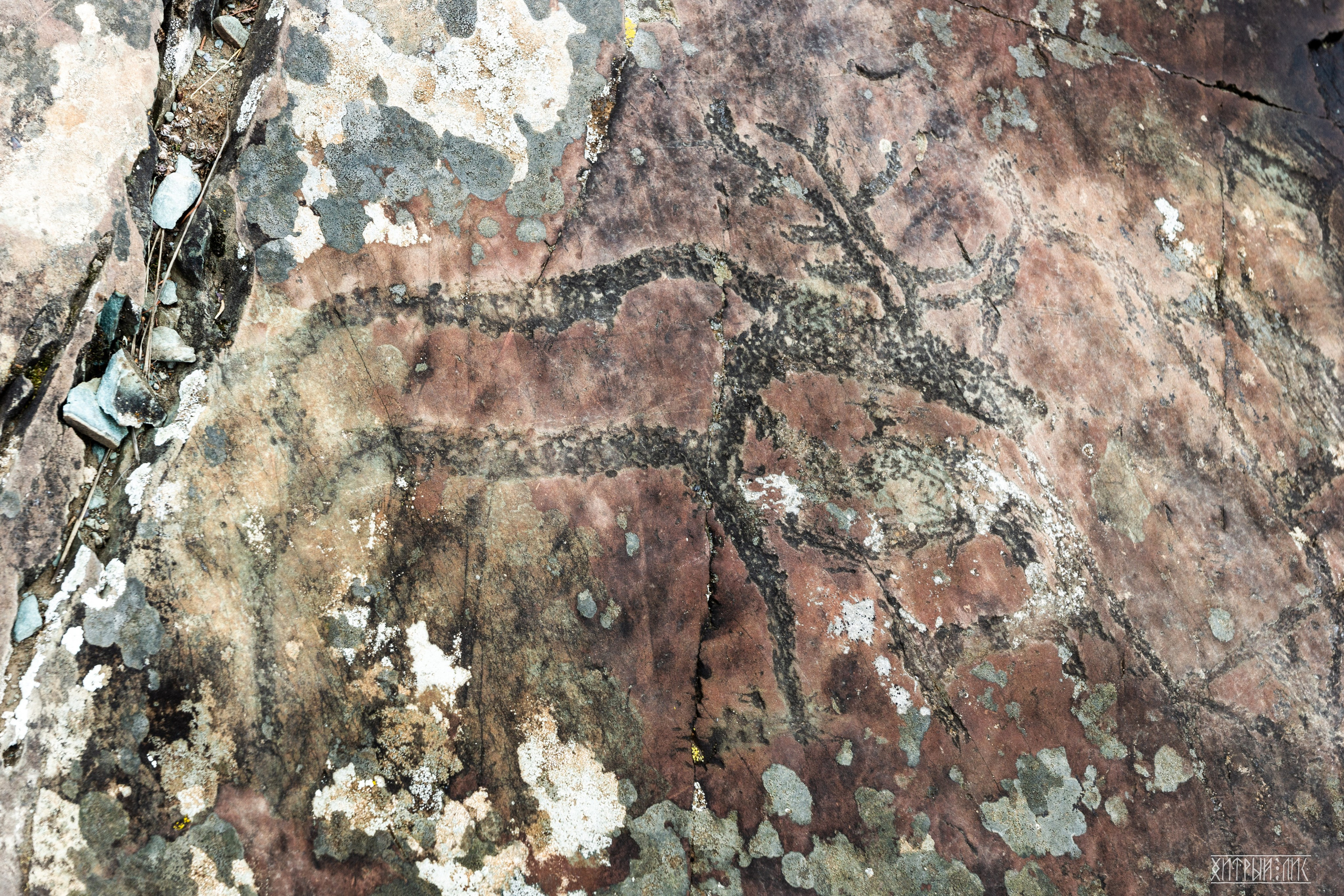 Алтай. Фотограф-путешественник Самойлов Максим «Sly Fox»