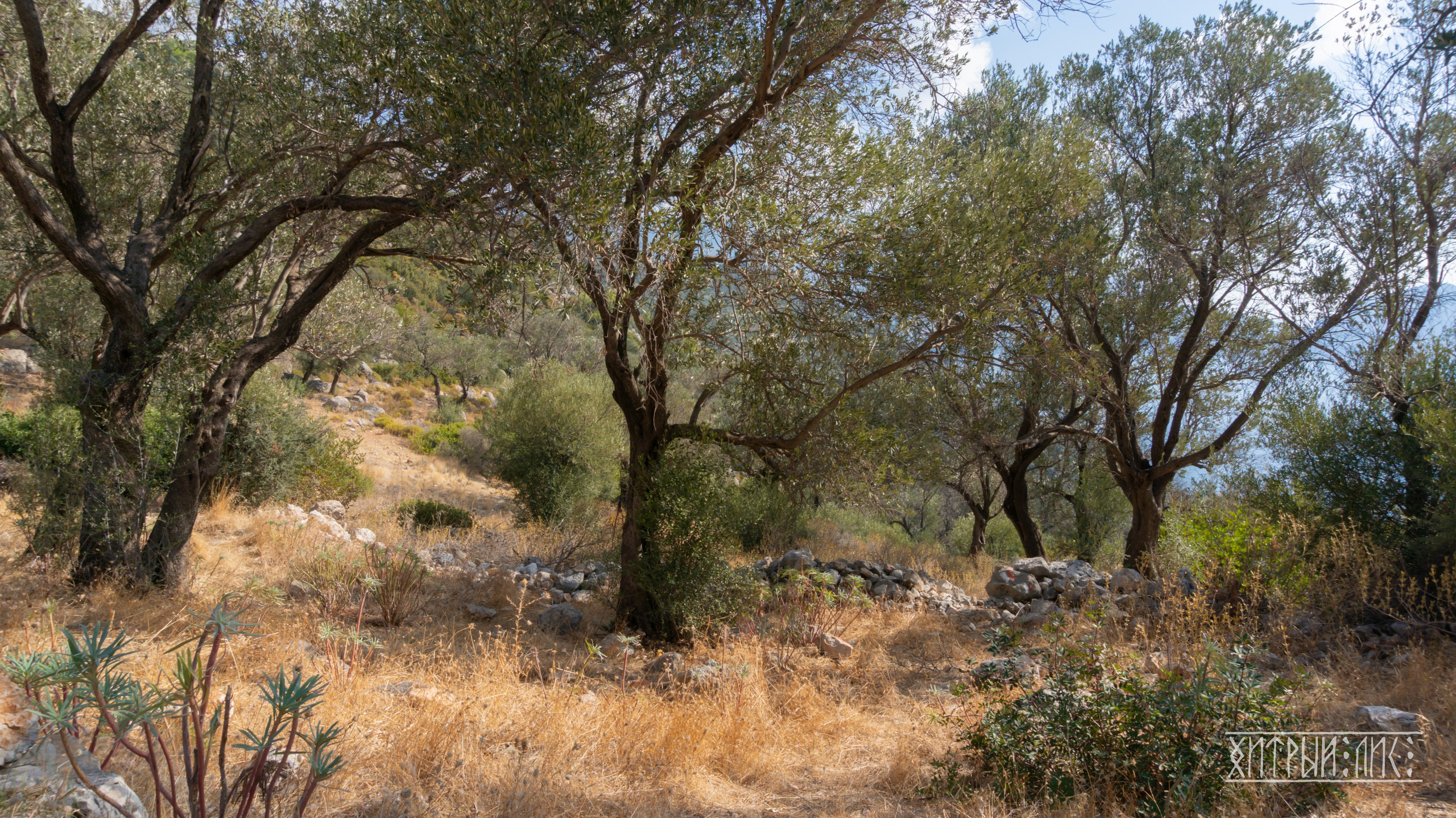 Турция. Ликийский путь. Фотограф-путешественник Самойлов Максим «Sly Fox»