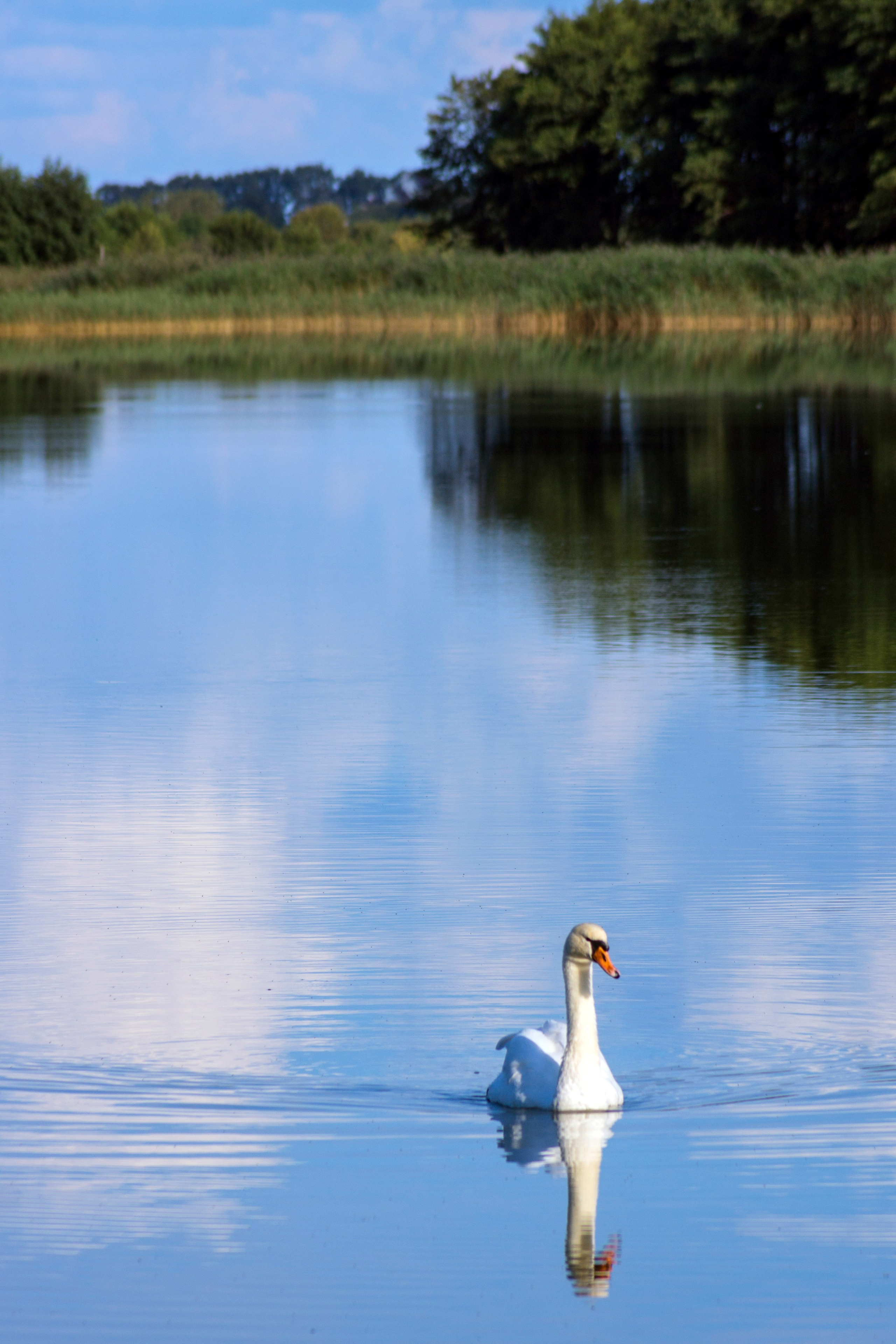 Куршская коса. Фотограф-путешественник Самойлов Максим «Sly Fox»