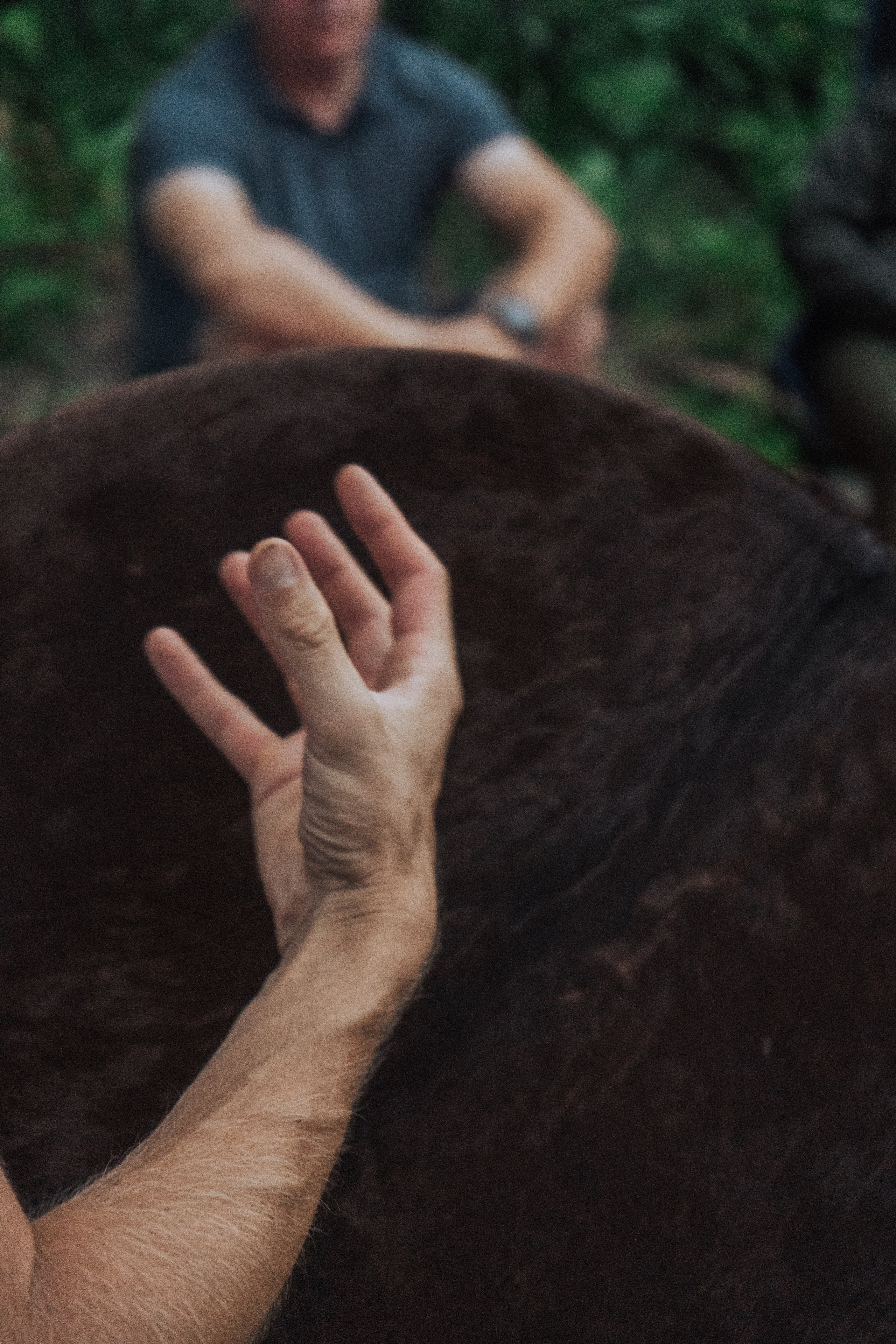 Ретрит от т-центра Псайторий 2024. Портретный фотограф Нижний Новгород