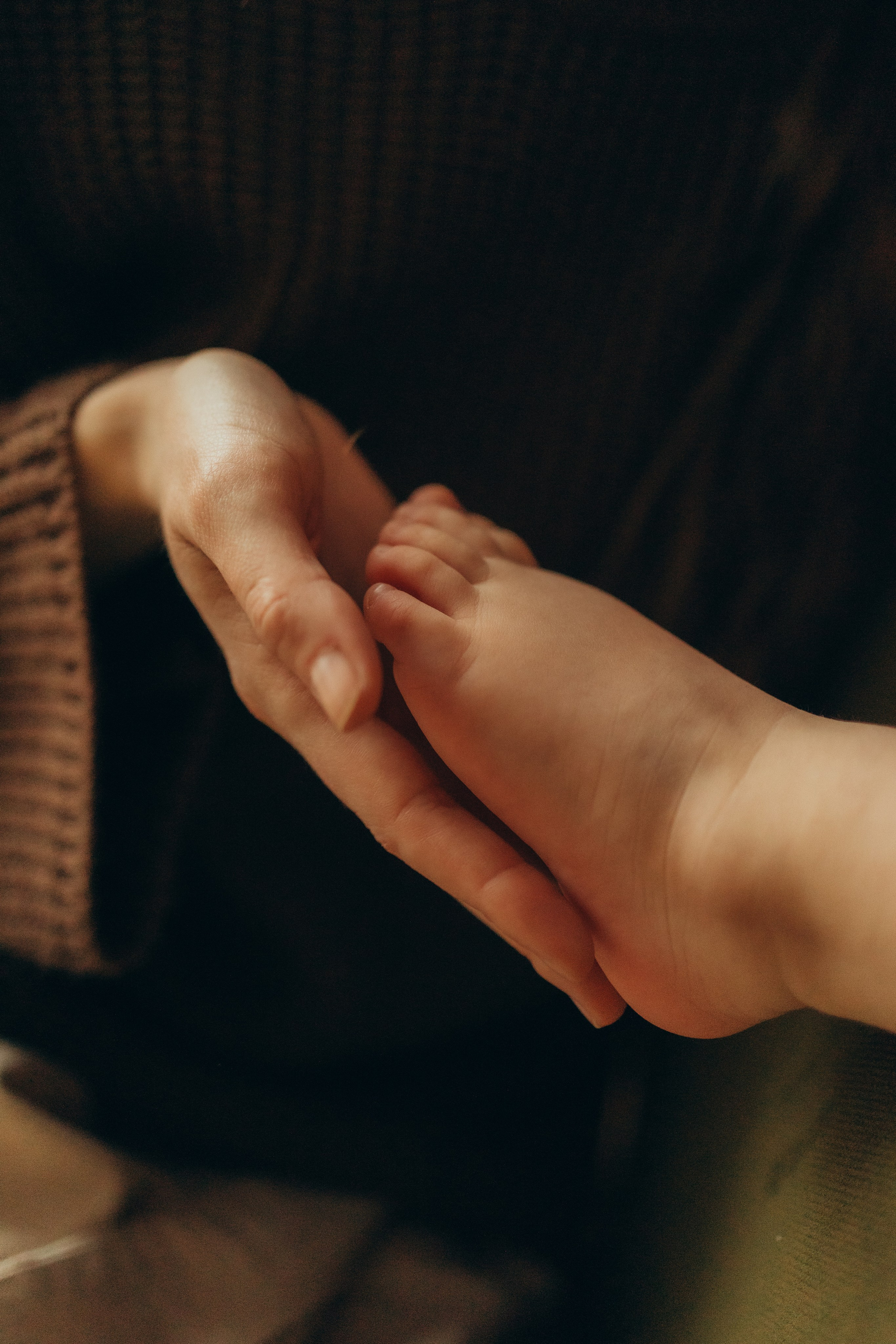 Семейная новогодняя фотосессия. Семейный фотограф в Москве Бунина Маргарита