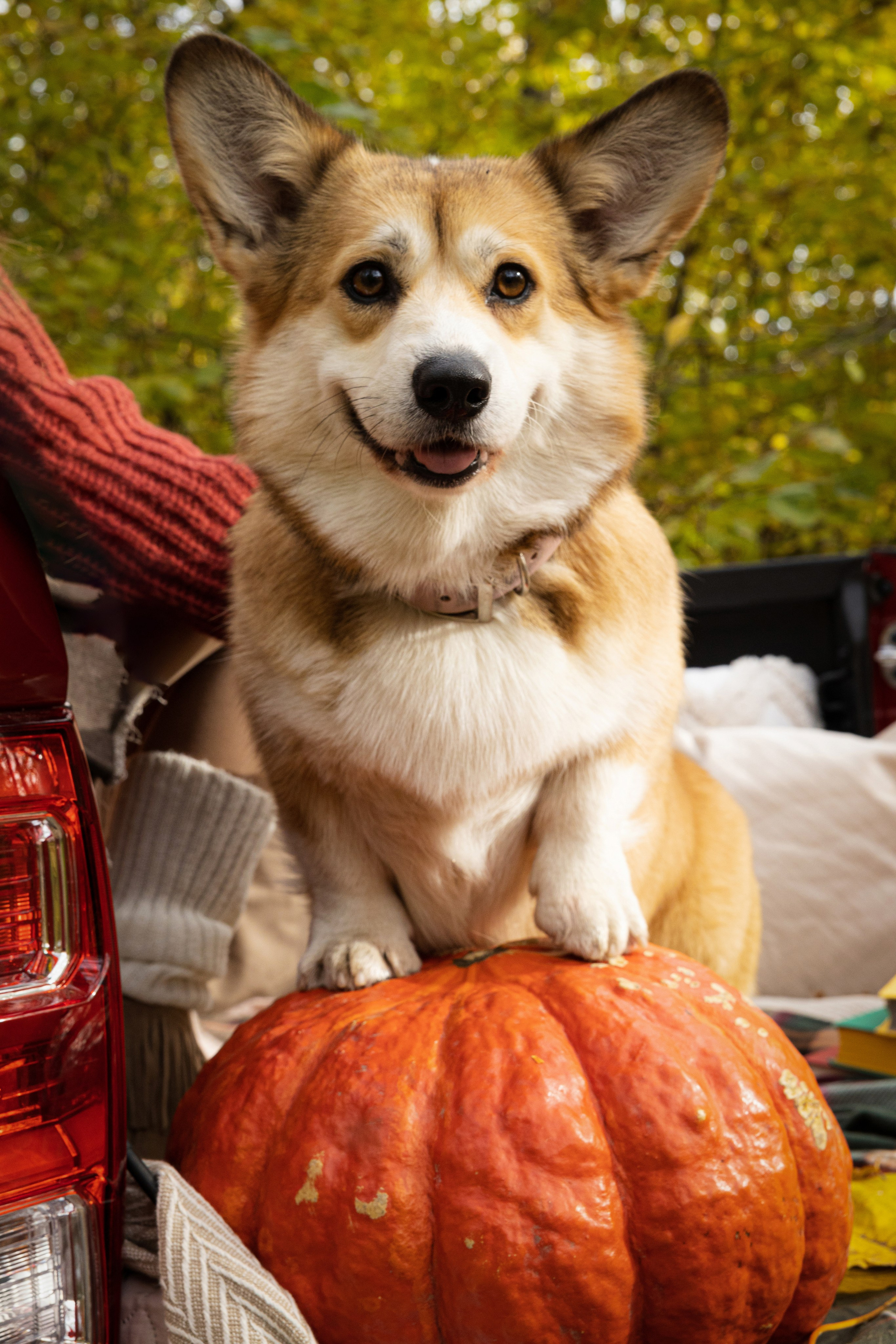 Осенняя фотосессия в городе N. Портретный и репортажный фотограф из Нижнего Новгорода Александра Лабутина