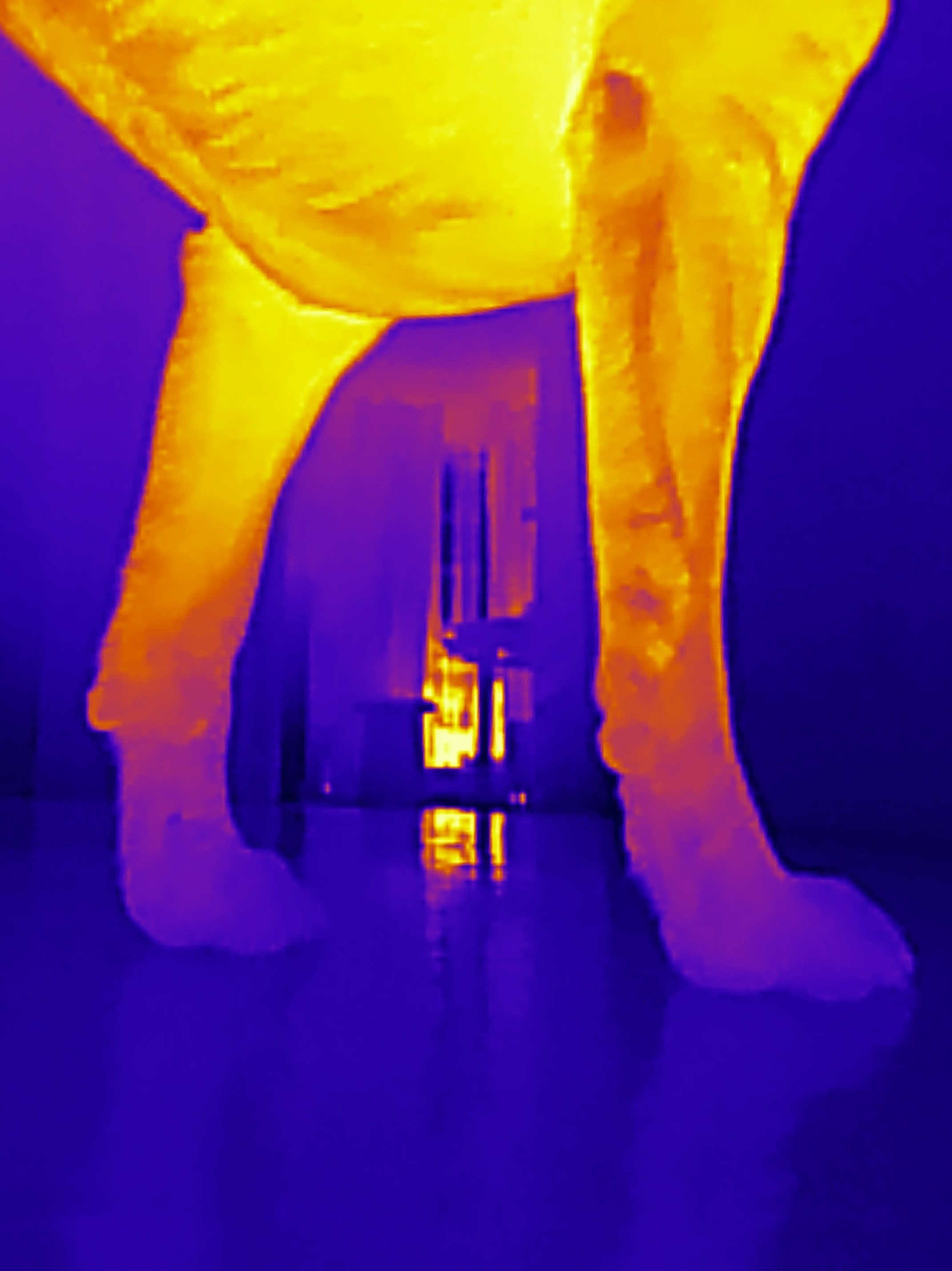 Если б я была удавом / If I were a boa constrictor. Visual artist Olga Burmistrova