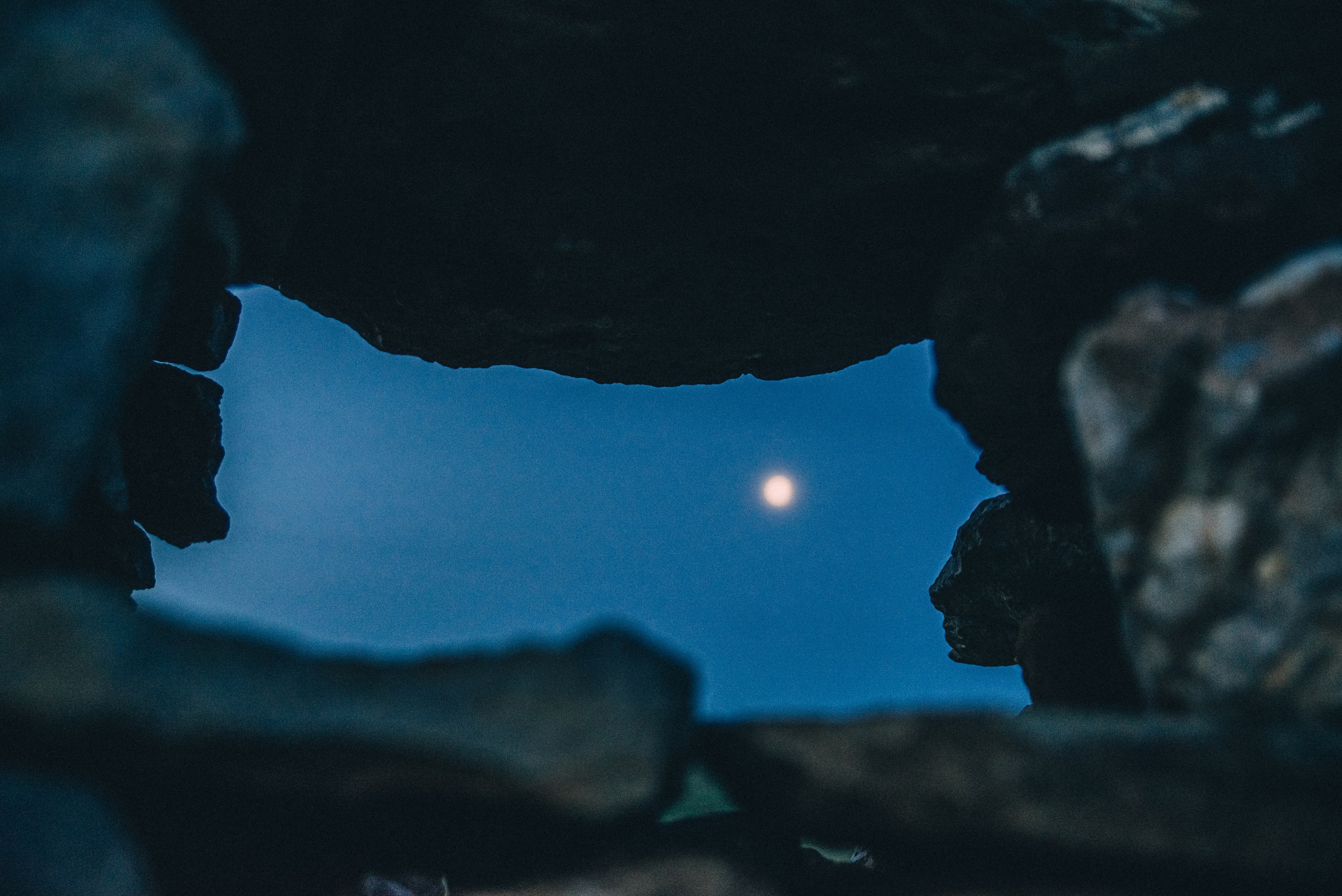 Заповедник «Оренбургский», предуральская степь. Фотообъединение Самарского областного отделения Союза журналистов России