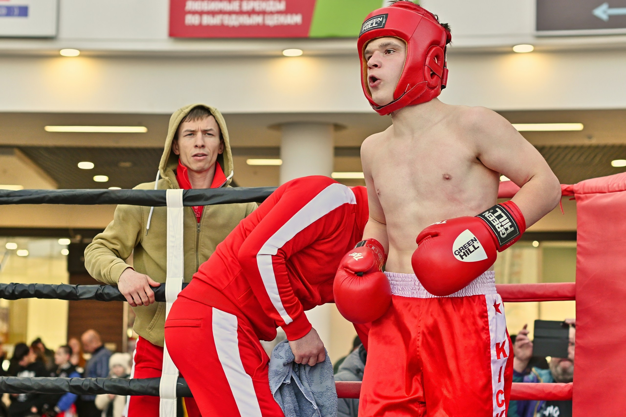Турнир по кикбоксингу за кубок «Арена Воронежа». Фотограф Денис Кривопусков