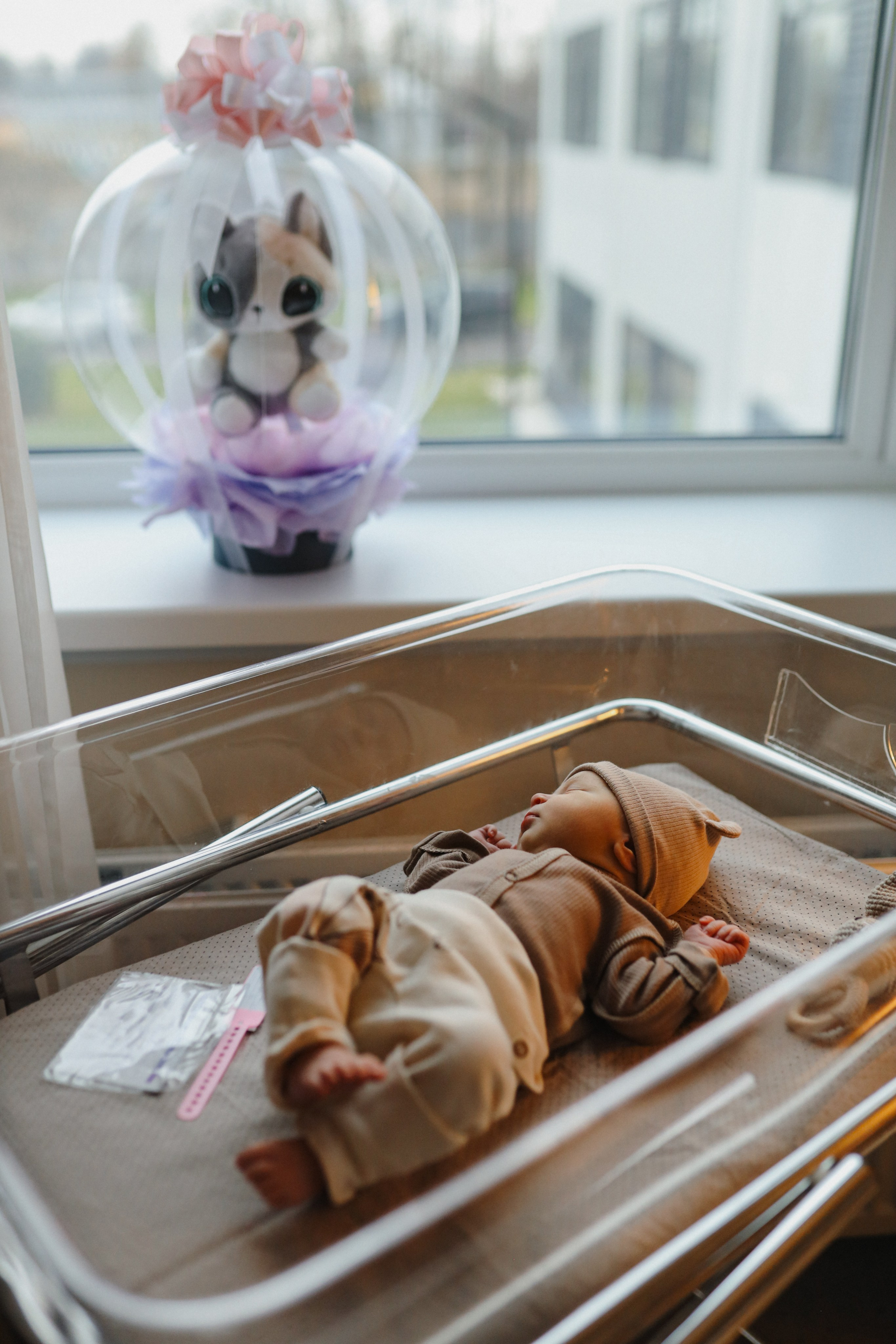 Выписка Теи🤍. Фотограф на роды в Санкт-Петербурге, семейный, нью-борн Алиса Хрекова