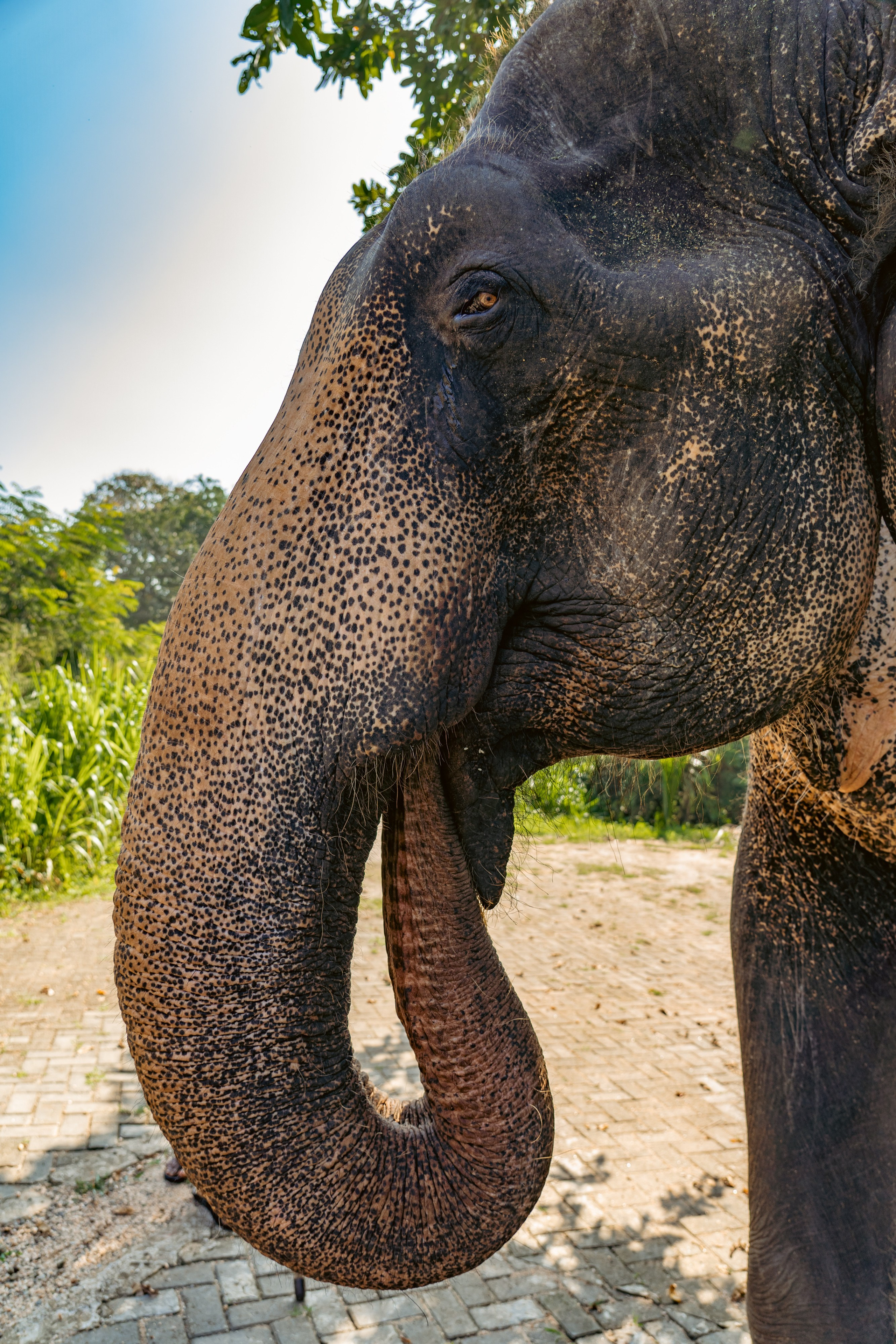 Promo content shooting for Ceylon Forward Tours