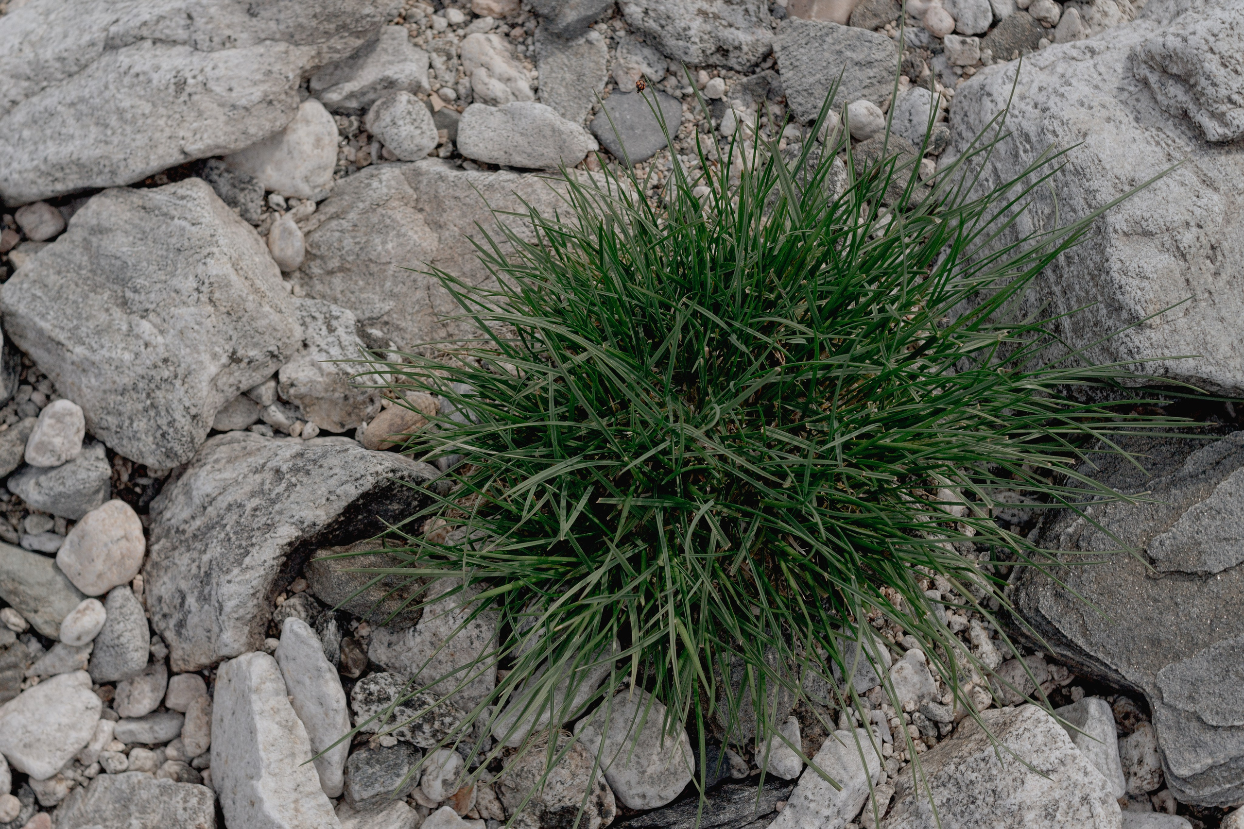 Ретрит на Байкале / Школа Ведических знаний SoVA / 7 дней, 2023. Борщевская Елизавета / фотограф Иркутск