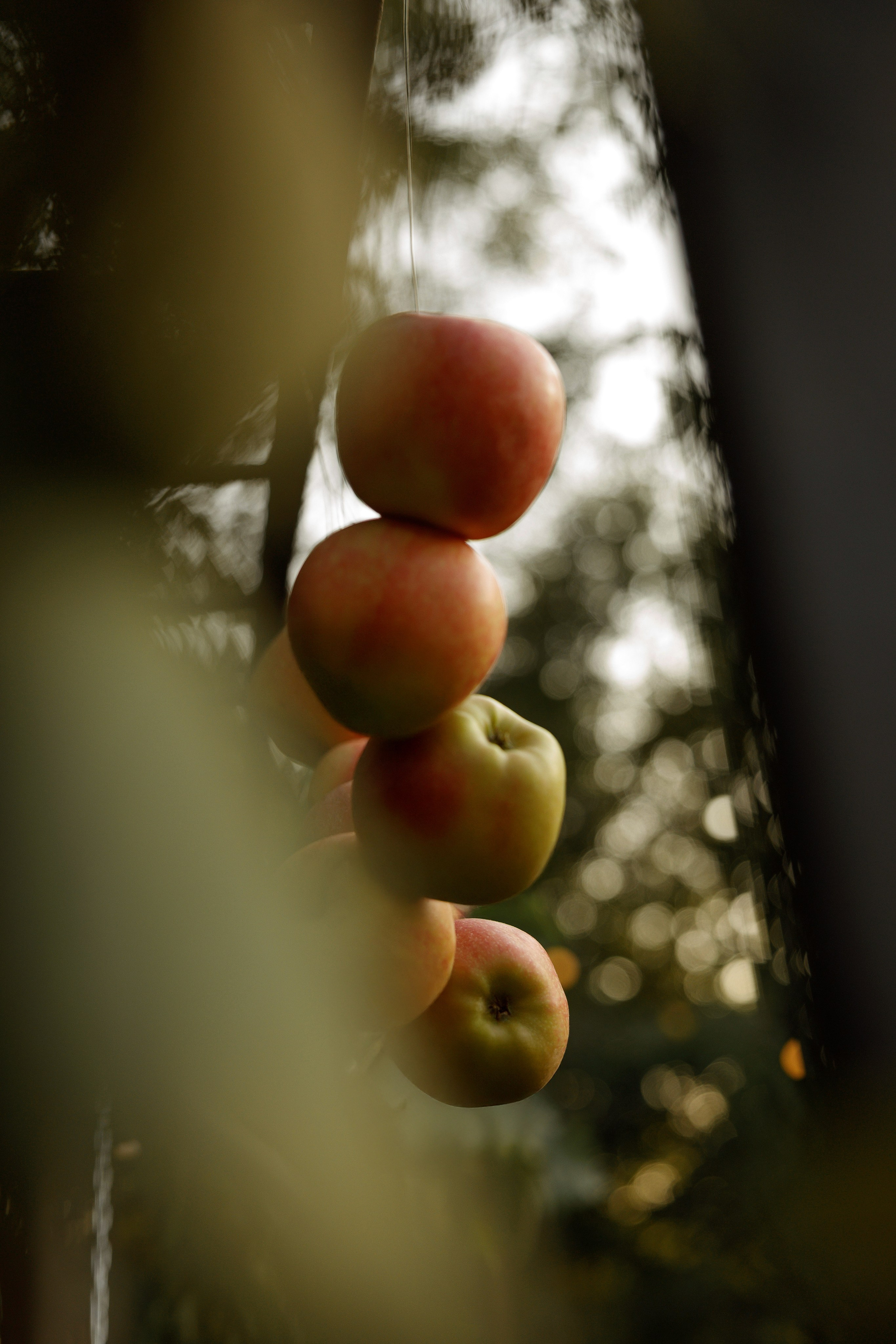 Свадьба Кристины и Александра. Свадебный и семейный фотограф  во Владивостоке Ольга Украинец
