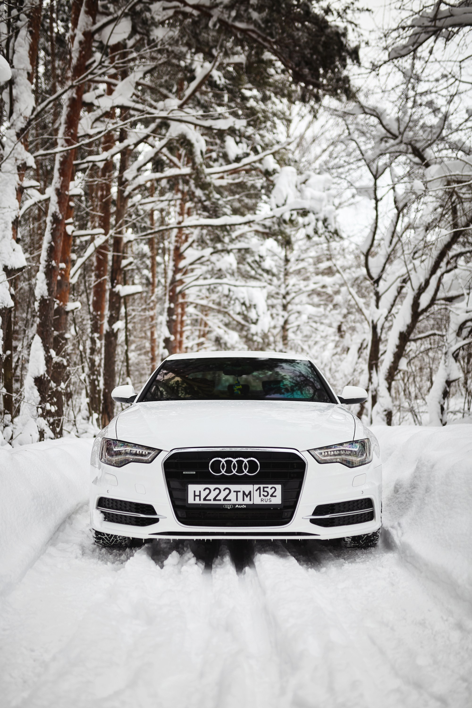 Audi A6. DKARPOCHEVA PHOTOGRAPHY