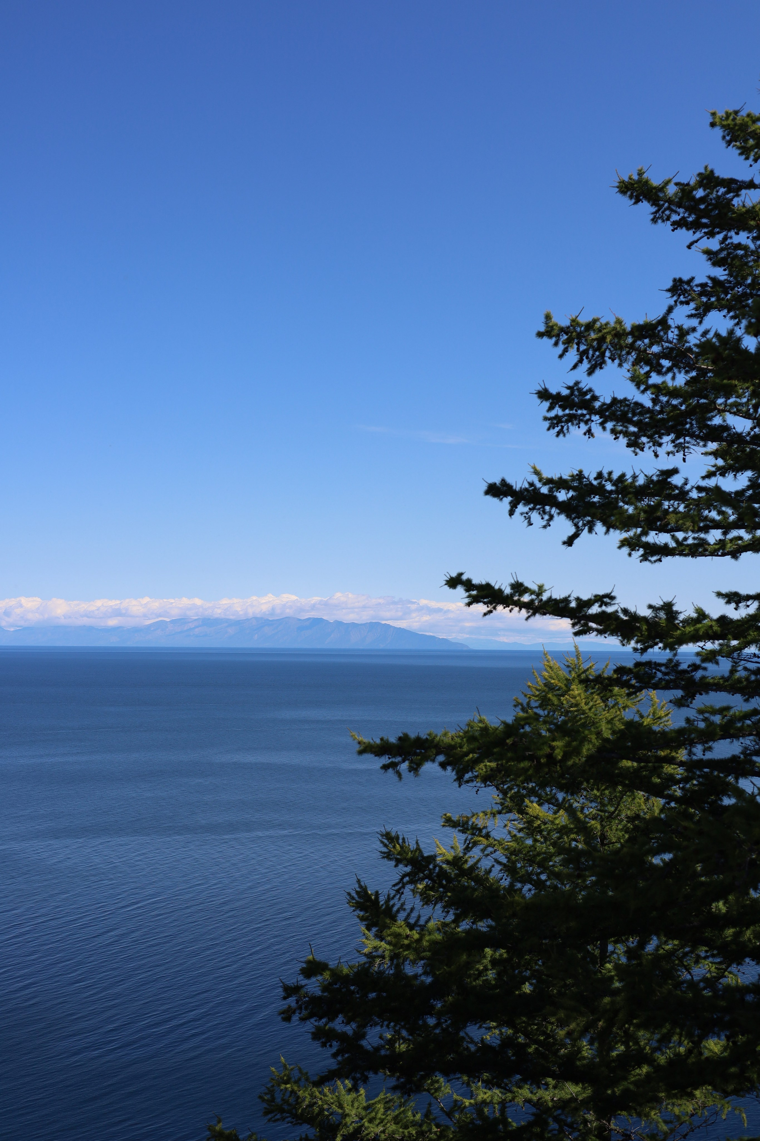 Все, что вокруг меня. Фотограф Евгения Ошкина, Саранск