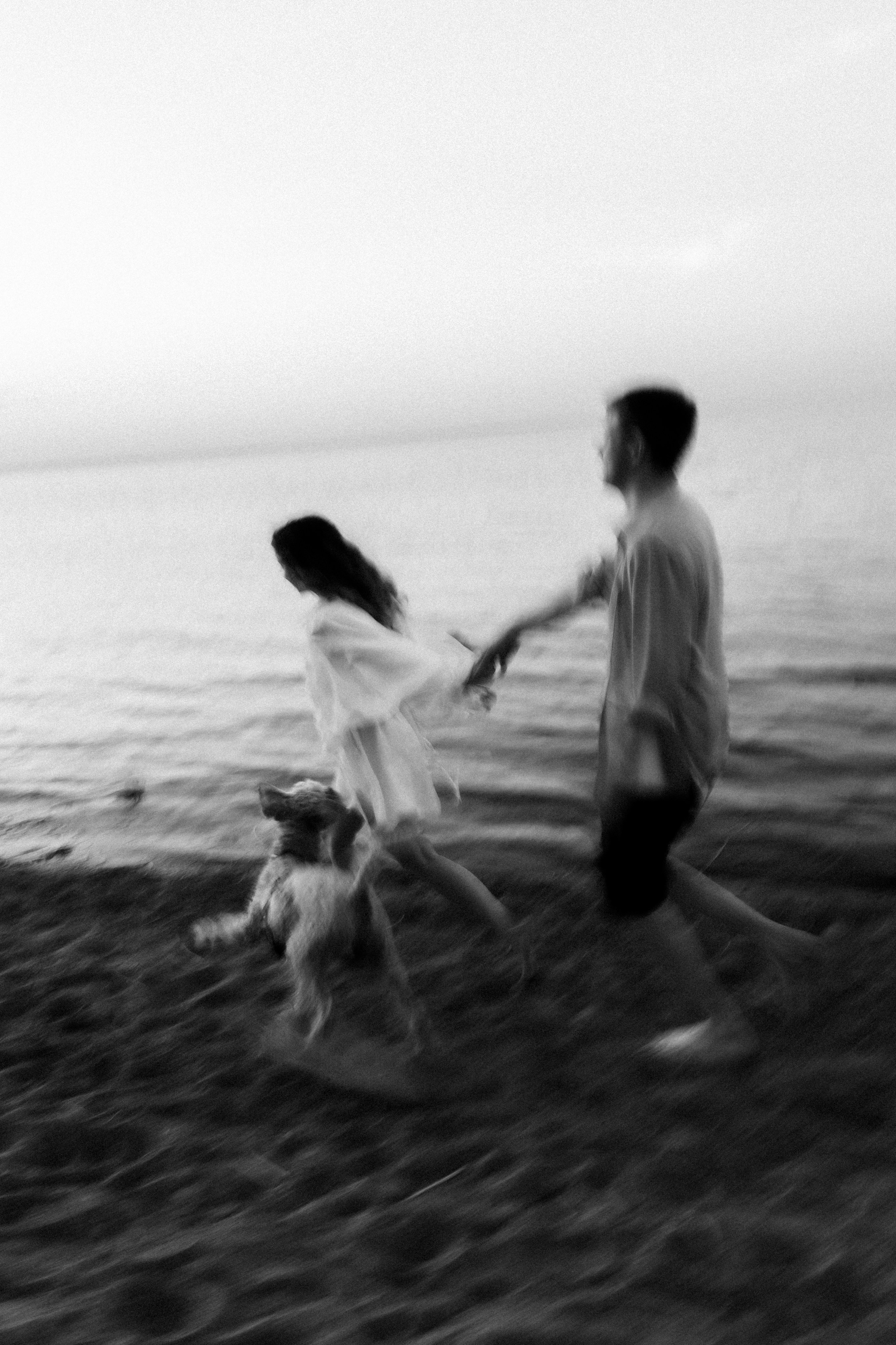 Аня, Влад и Джек. Фотограф в Санкт-Петербурге