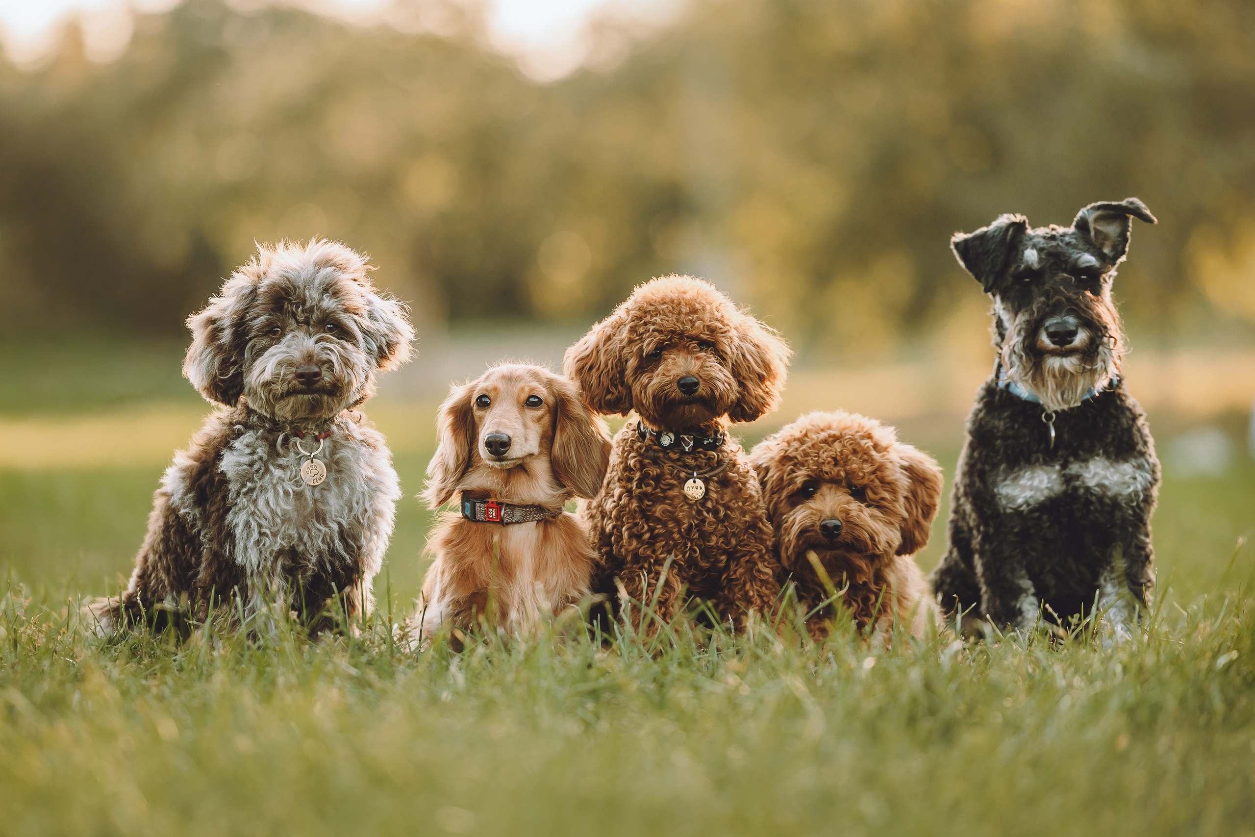 Кристина и все-все