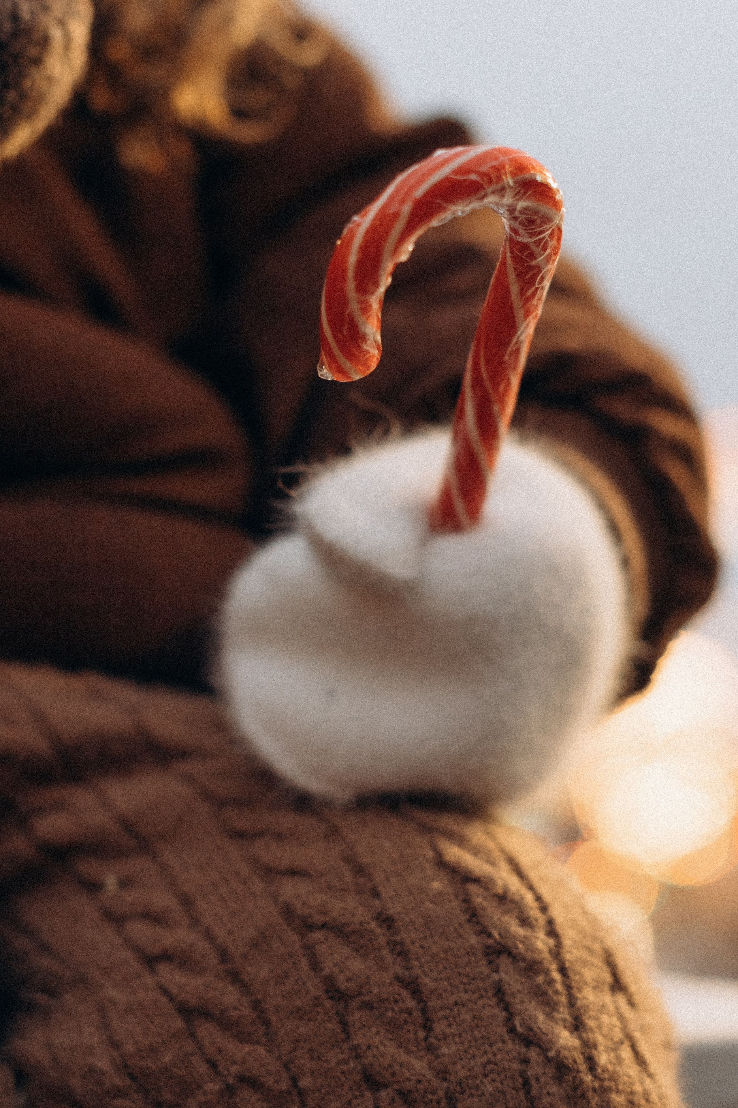 Семейные съемки. Фотограф Новомосковск | Тула