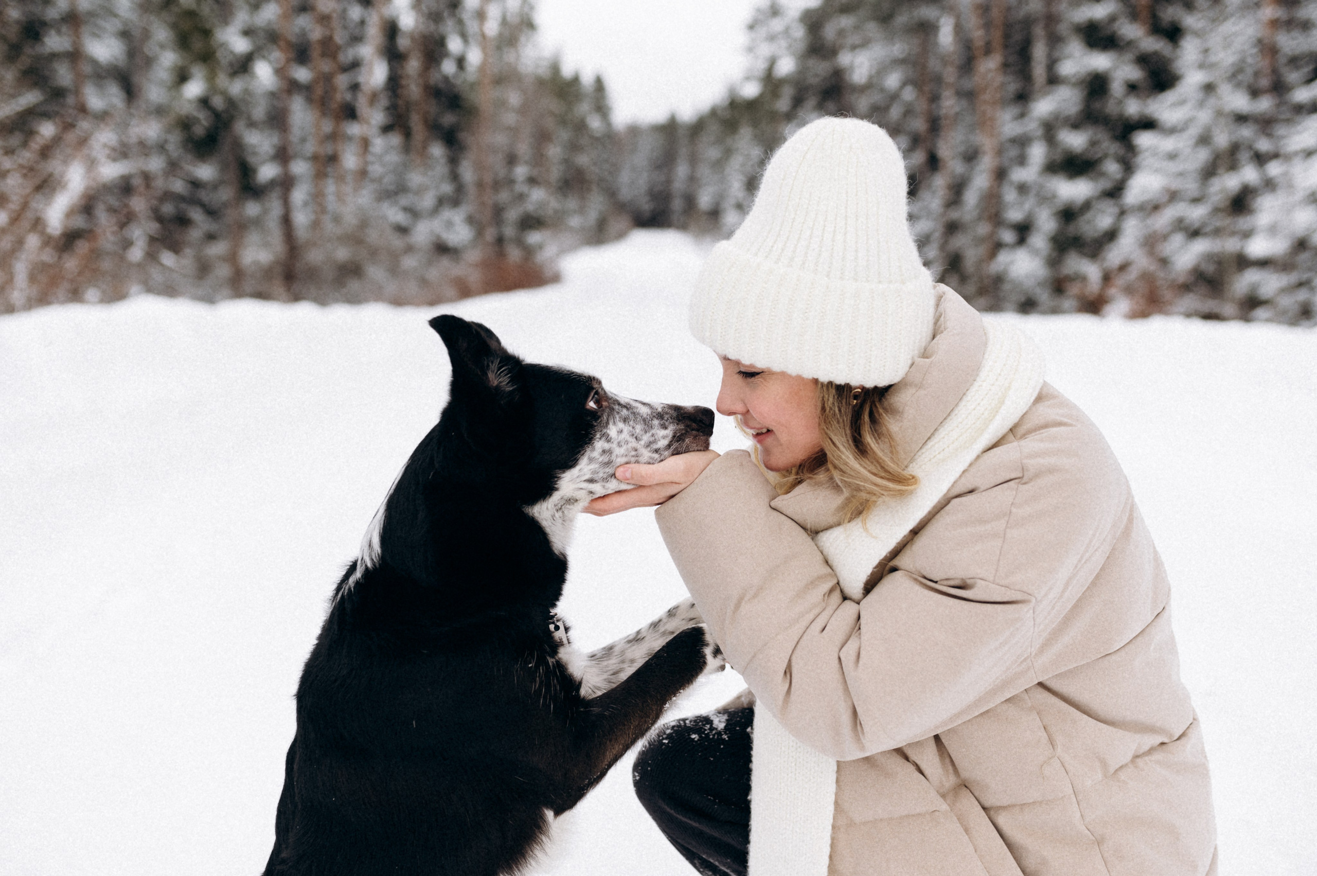 Аня и Милан. Фотограф анималист в Москве Ольга Агушева