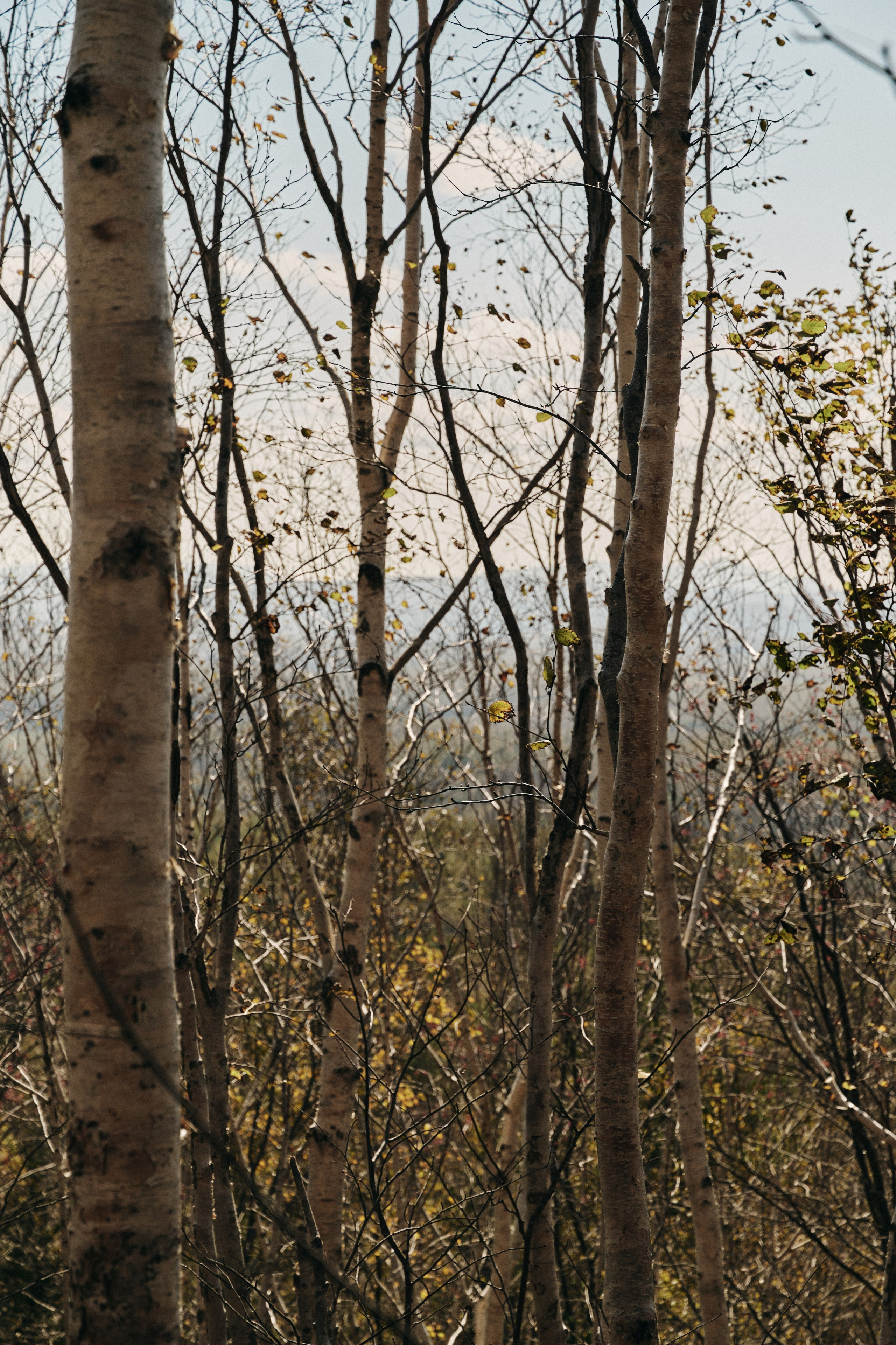 BAON x SAKHALIN. Фотограф Сурков Никита