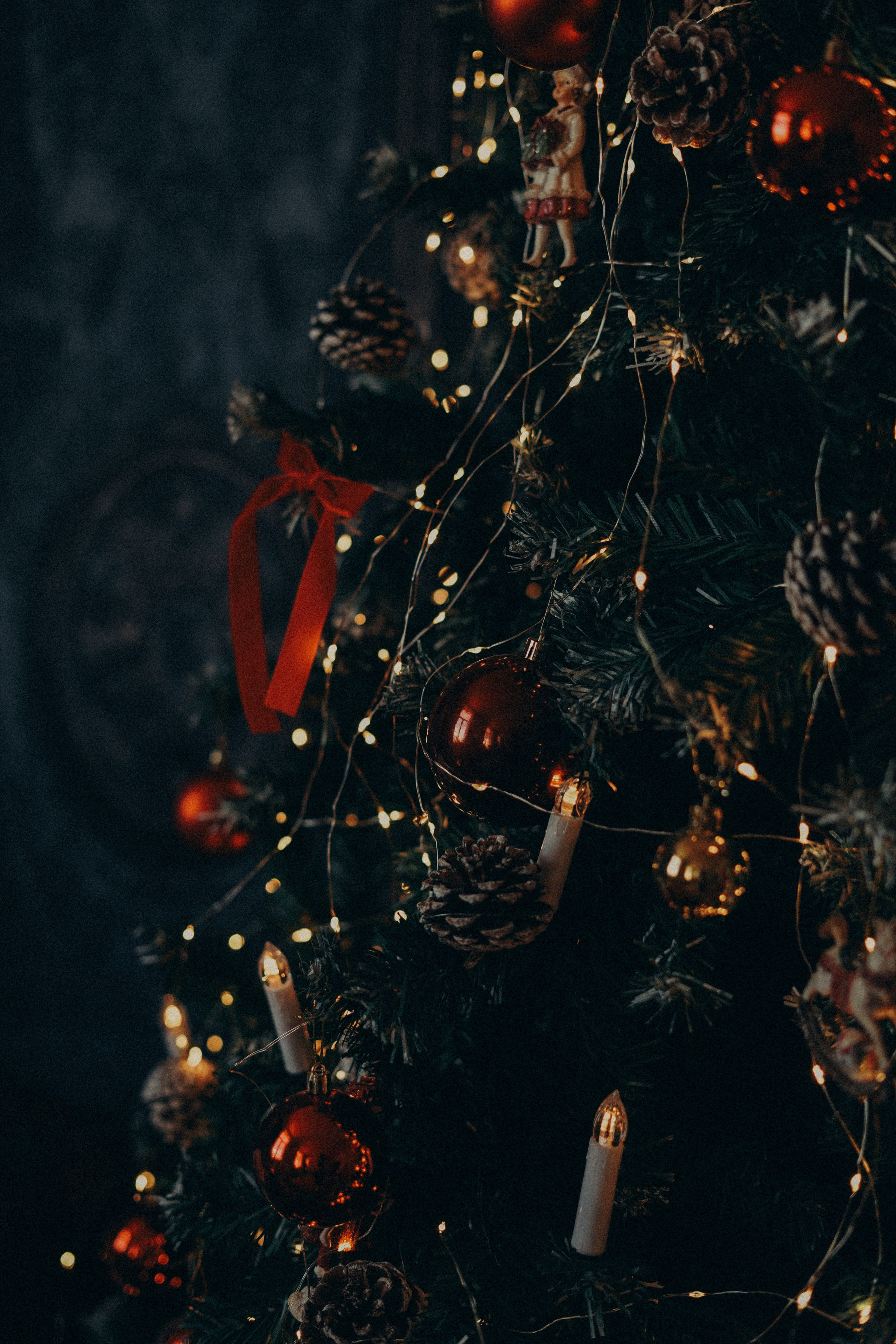 Зал 2. Фотограф Батуми | Ксения Кинасова