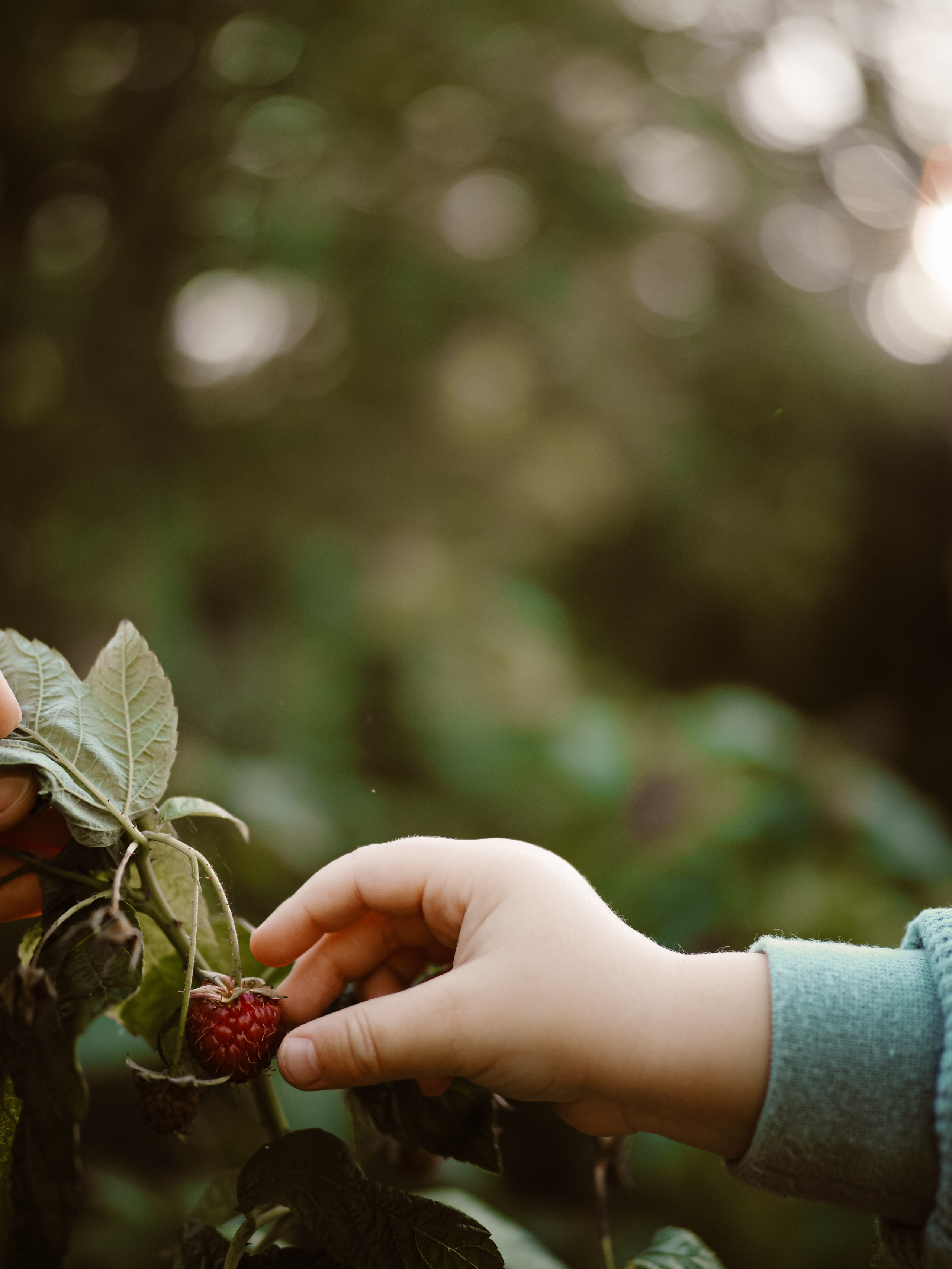Поколения. Фотограф Рязань. Семейный Свадебный фотограф