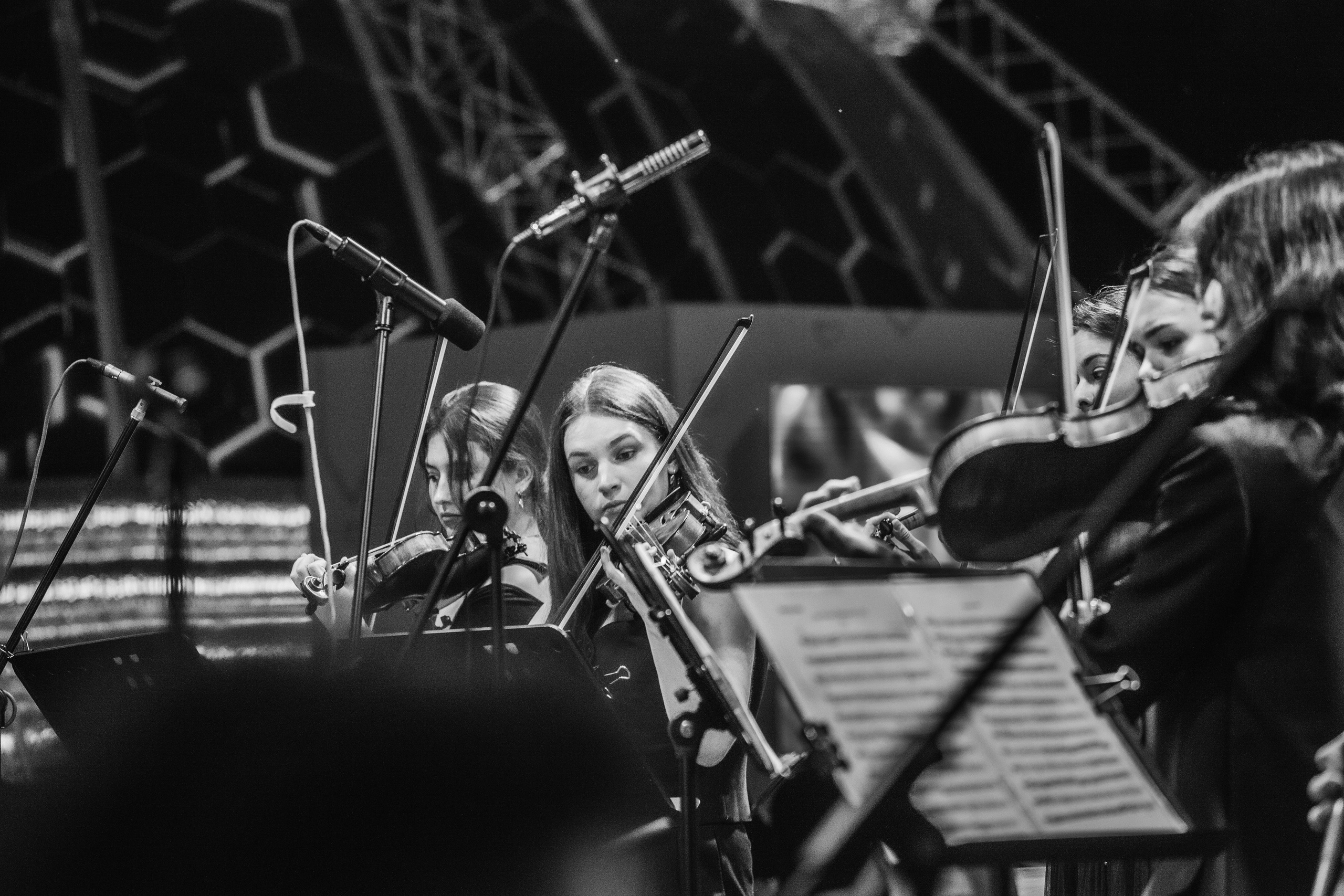 Околобаха (Съёмка в Музеон). Портретный и репортажный фотограф в Москве, Ольга Ларема