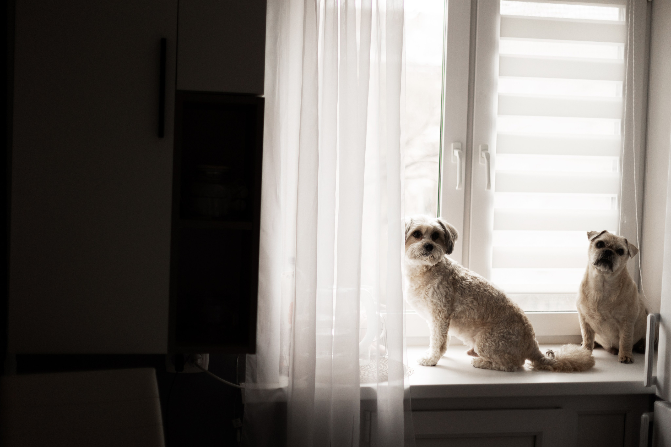 Наталья и Артур. Фотограф Алина Кучумова