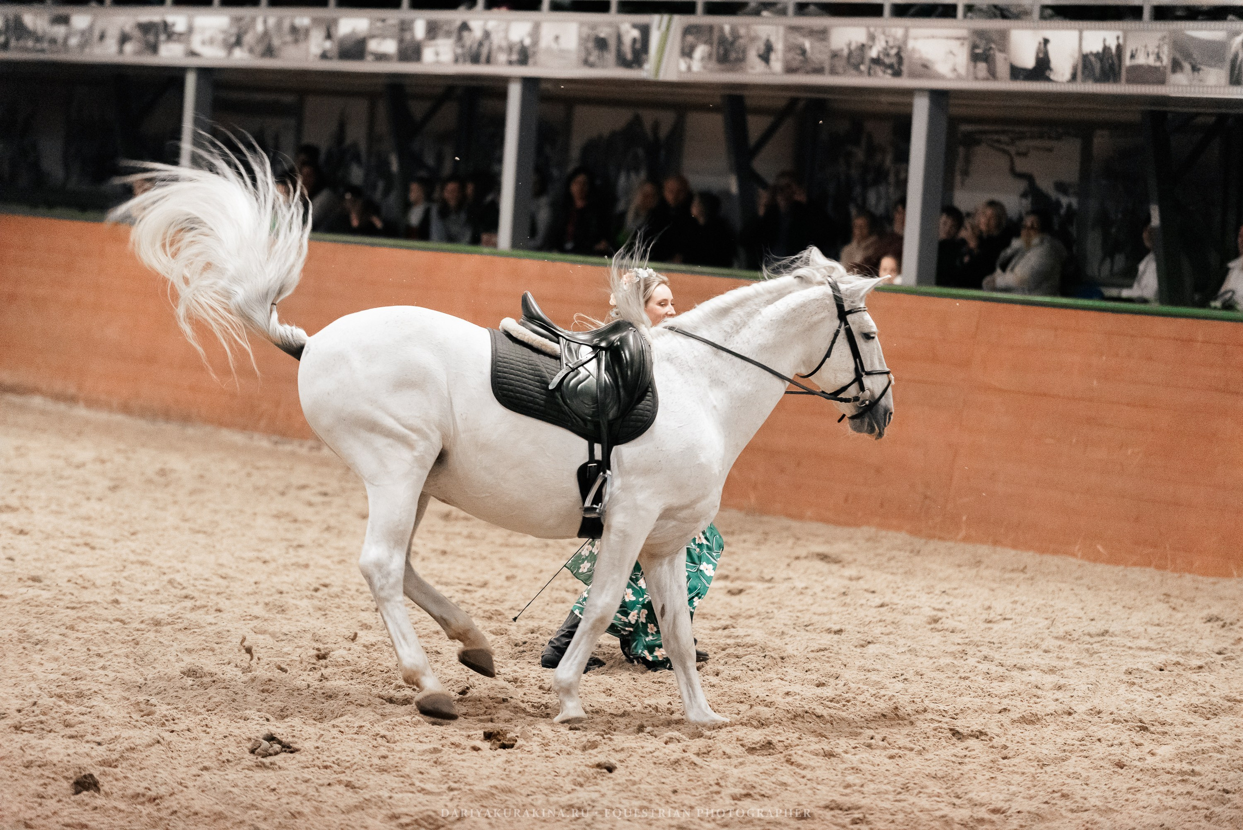 Конное представление «Дыхание Звёзд». Конный фотограф Куракина Дарья • Фотосессии с лошадьми