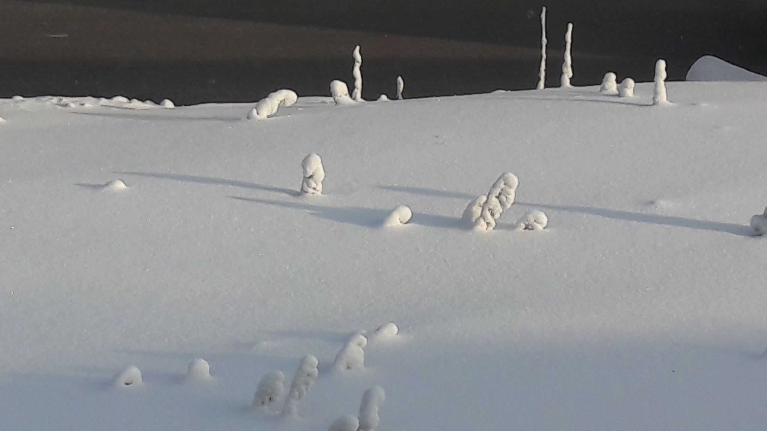 2018. Тащилин Сергей. Фотографии. Жизнь. Хобби