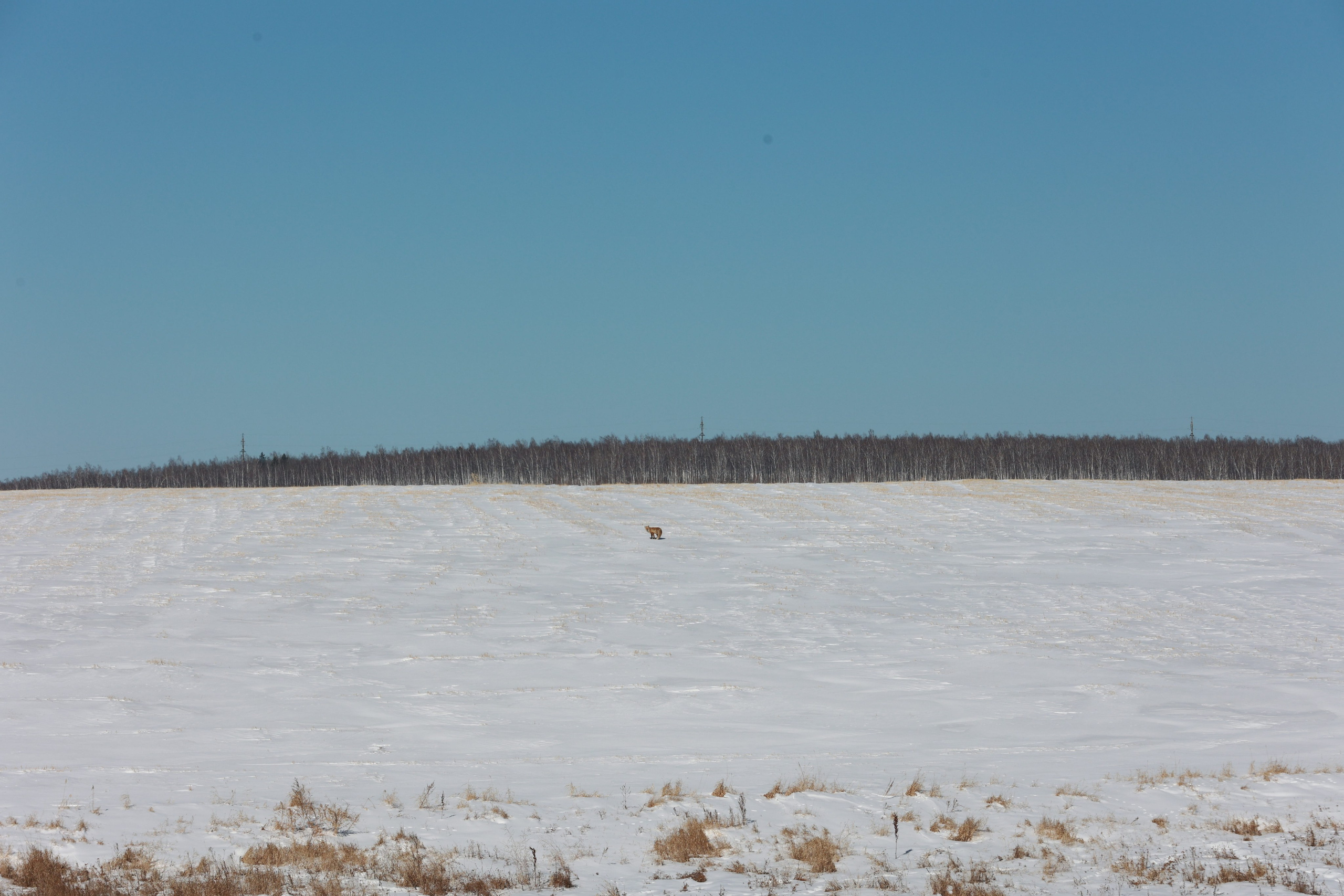 2022. Тащилин Сергей. Фотографии. Жизнь. Хобби