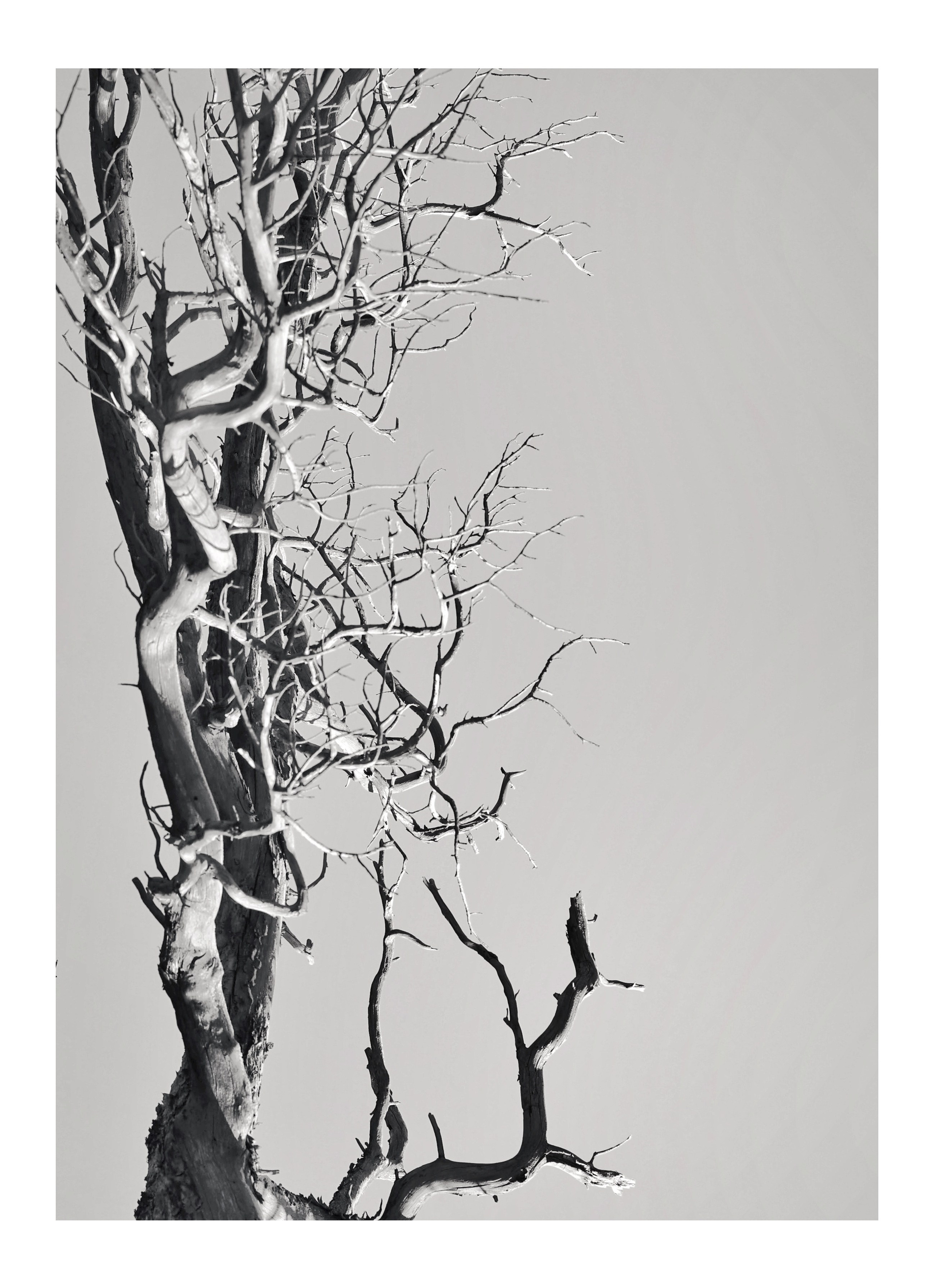 2022. Тащилин Сергей. Фотографии. Жизнь. Хобби