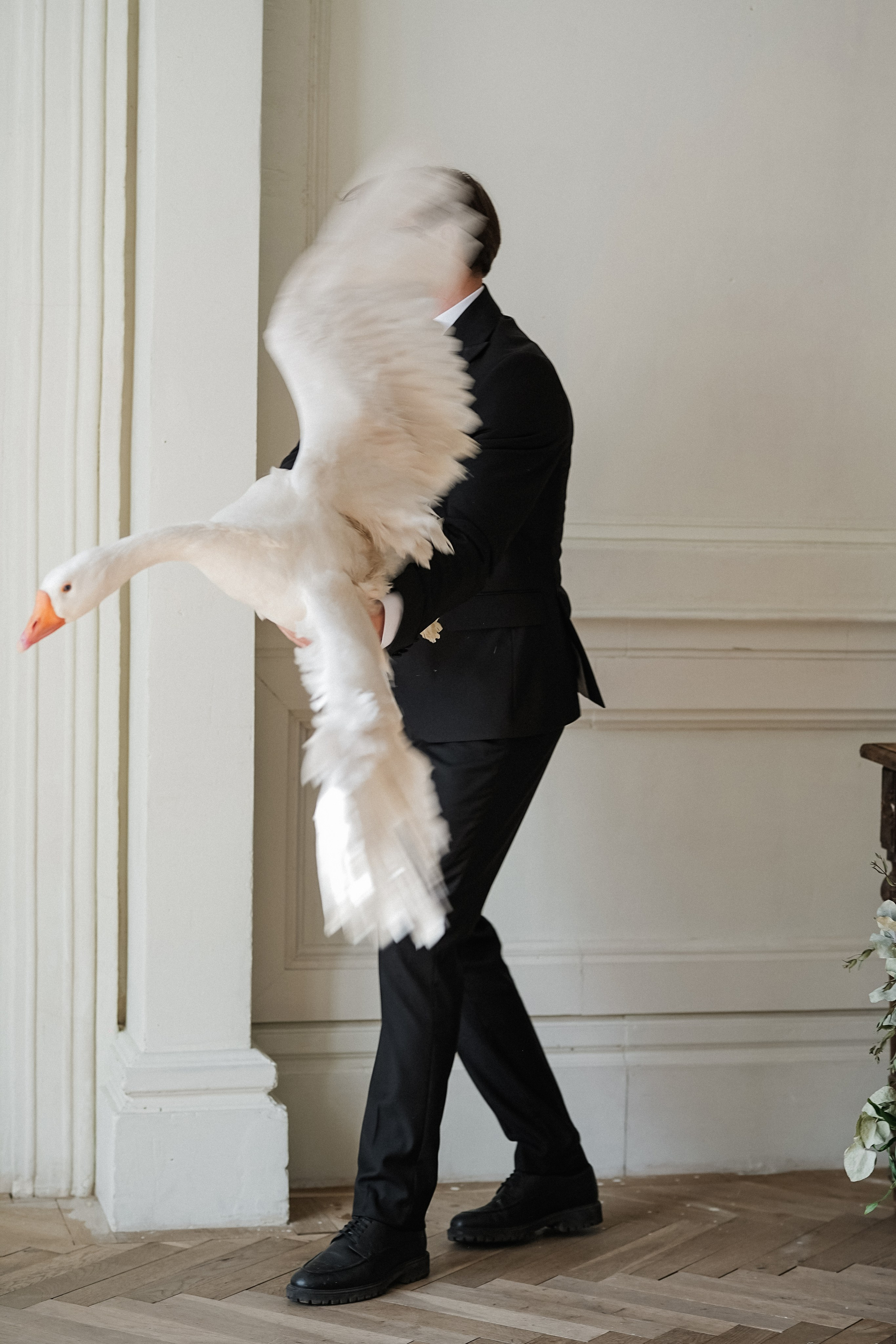 Свадебный фотограф AllexD в Москве, Санкт-Петербурге