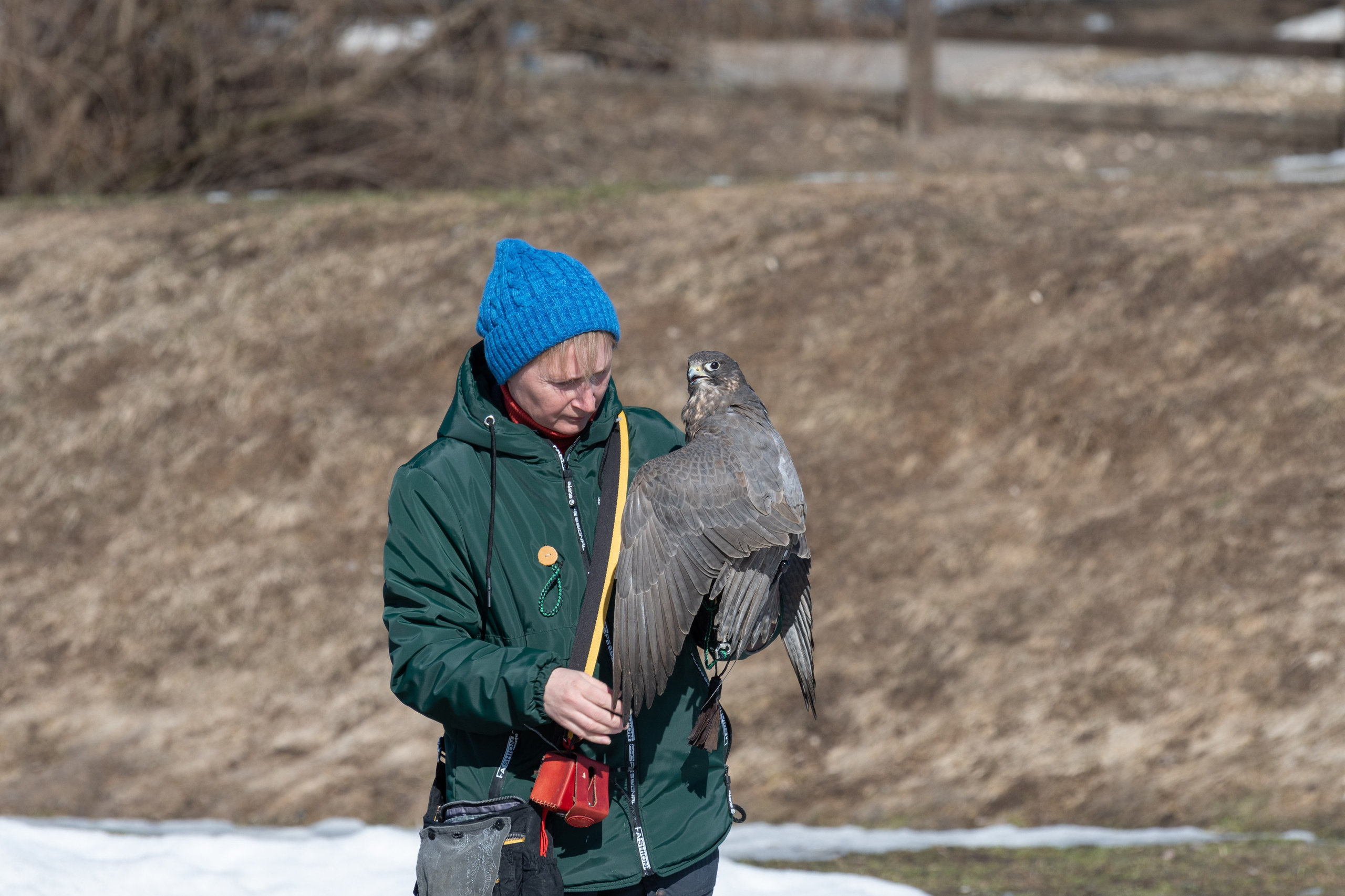 20220320 Коломенское. Дмитрий Ремизов. Фотография, как хобби