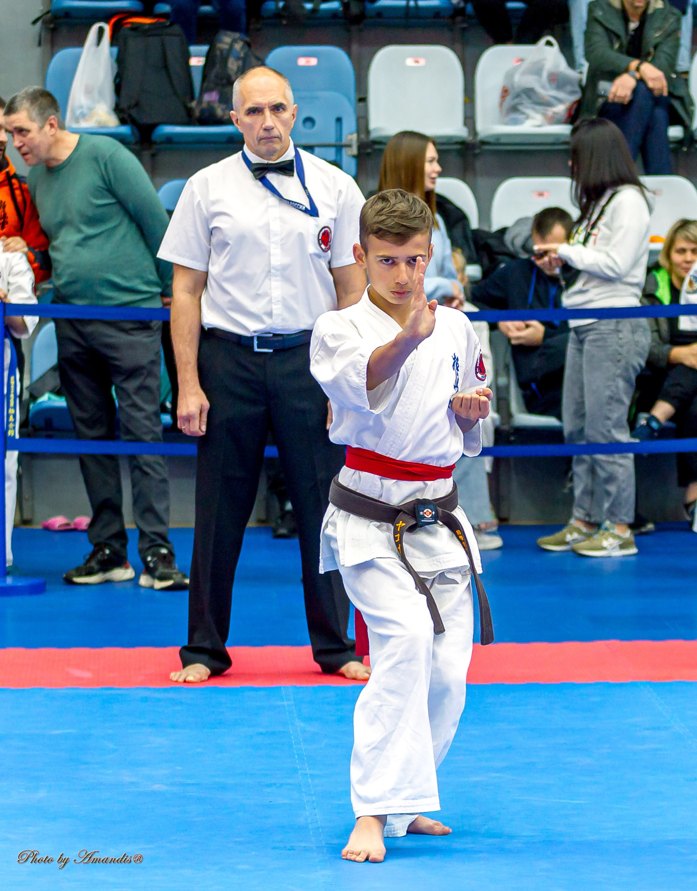 Чемпионат по Киокушинкай Центрального Федерального округа. Репортажная съемка в Москве и области. Анималистика