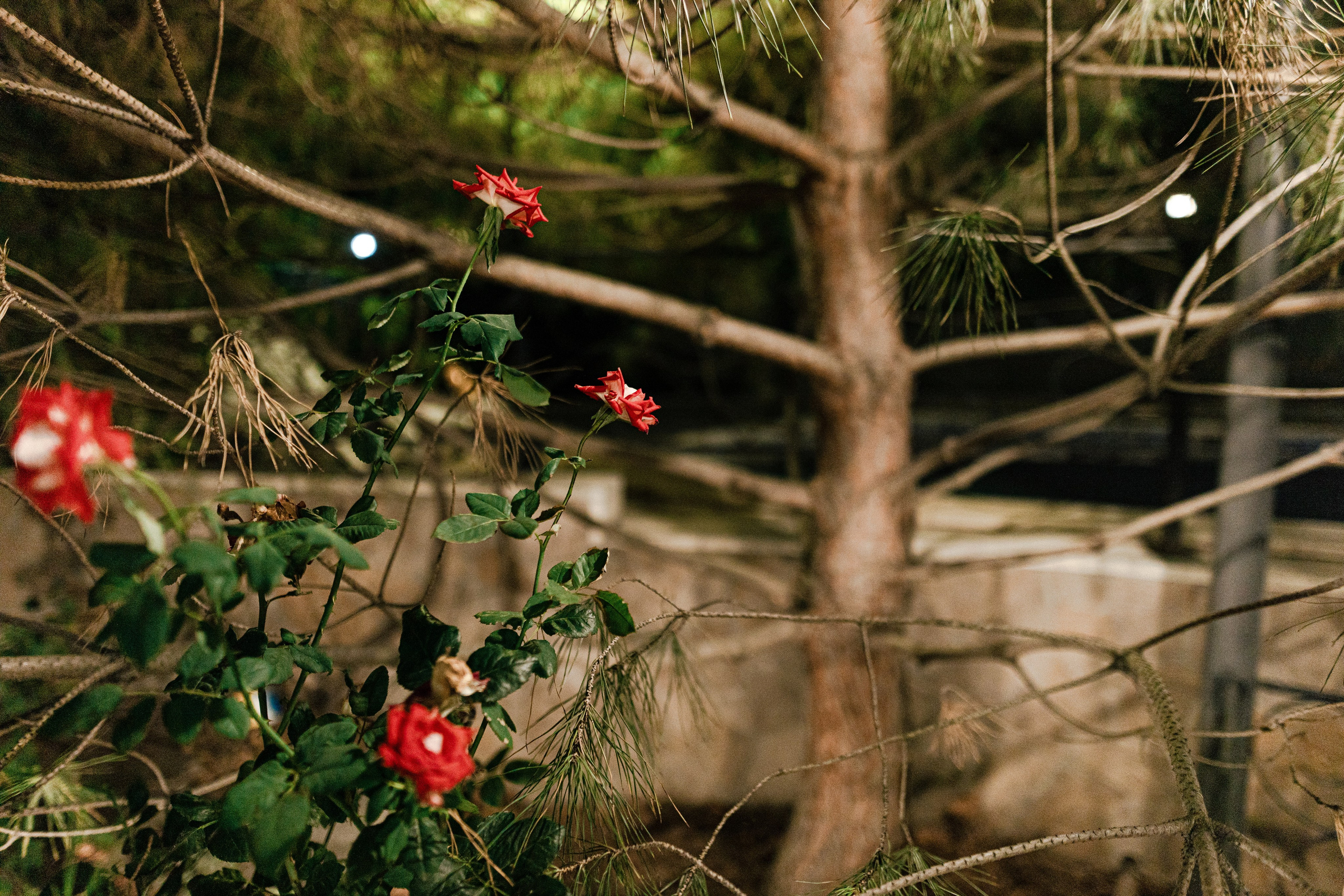 Гостевой дом «СЛАВИЯ» г. о. Коктебель. Евгения Волошина Фотограф Москва / Белгород