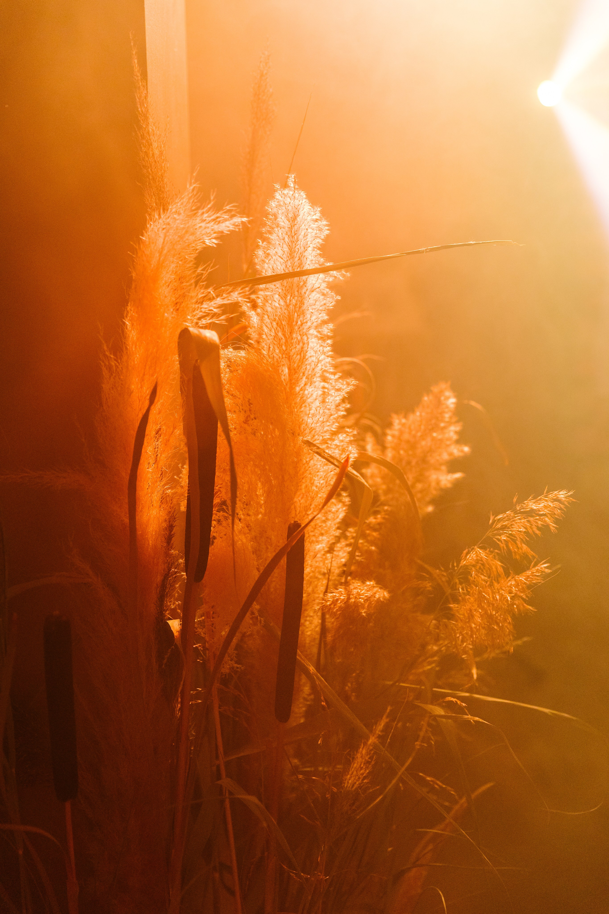 МЕГАДЕВИЧНИК 8 марта. Портфолио свадебного фотографа. Роман Каргаполов