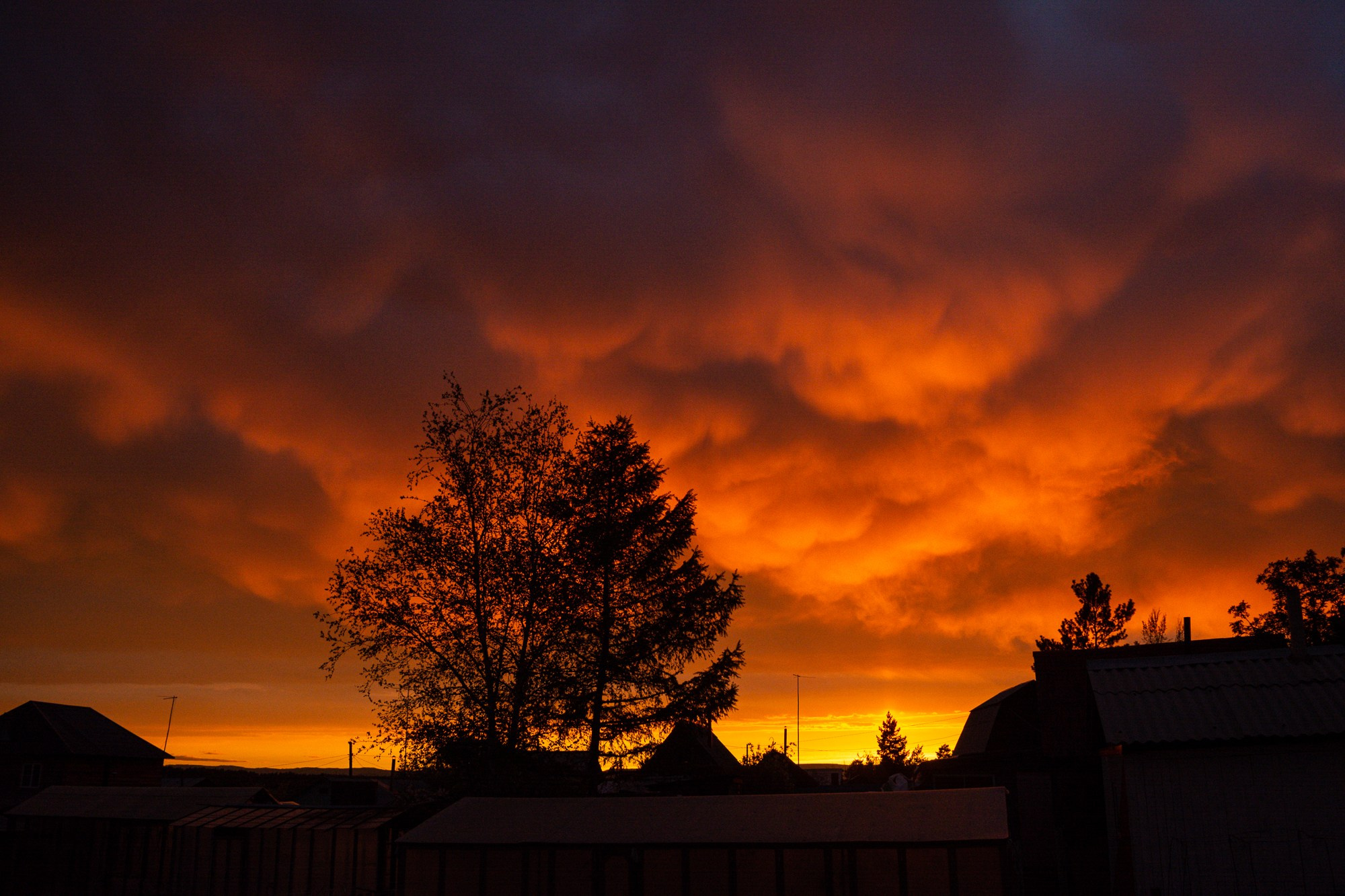Разное. Репортажный фотограф г. Чита