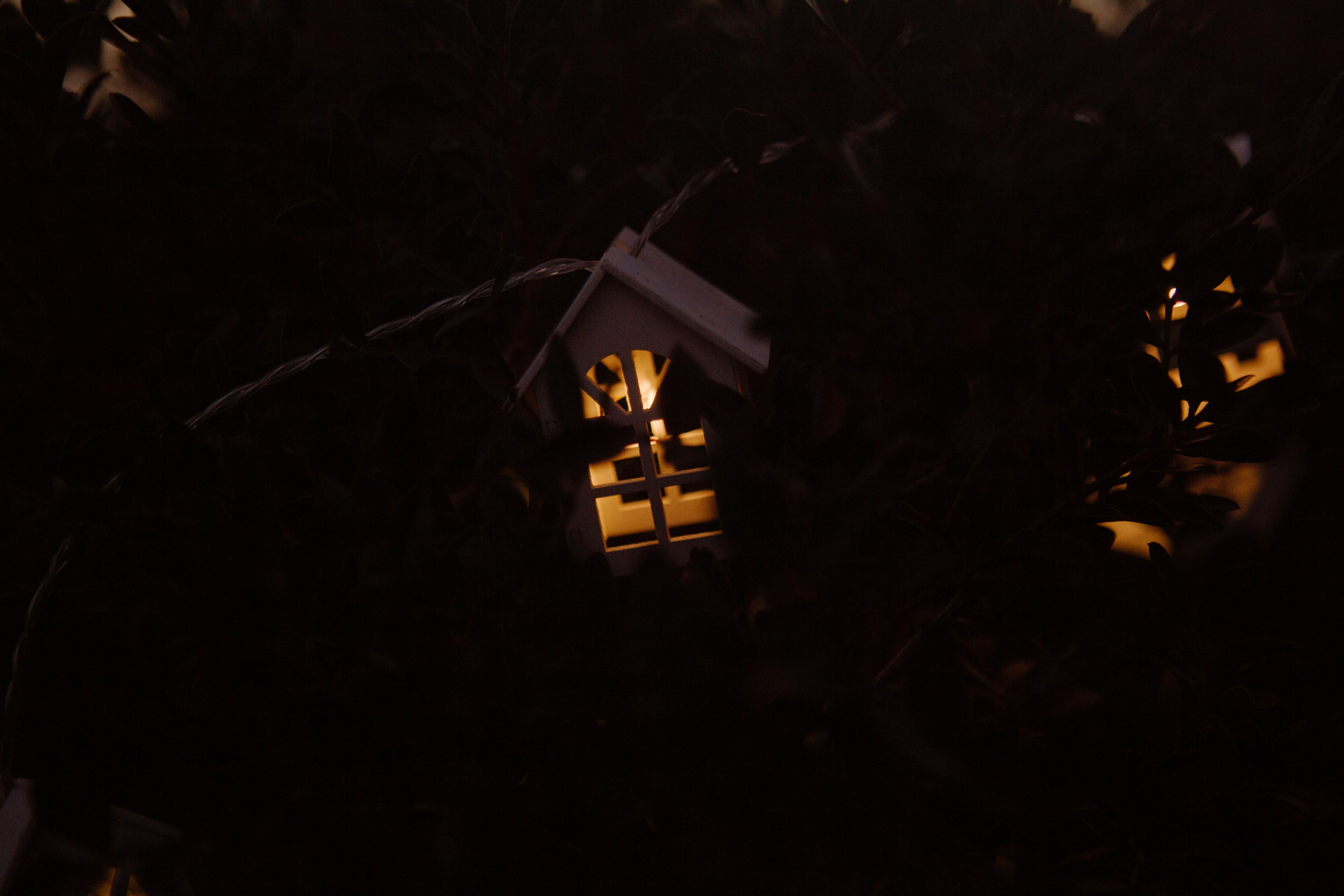 Anton + Nastya & Kirill. Portrait, family and pet photographer in Cyprus, Ksenia Bourdelle