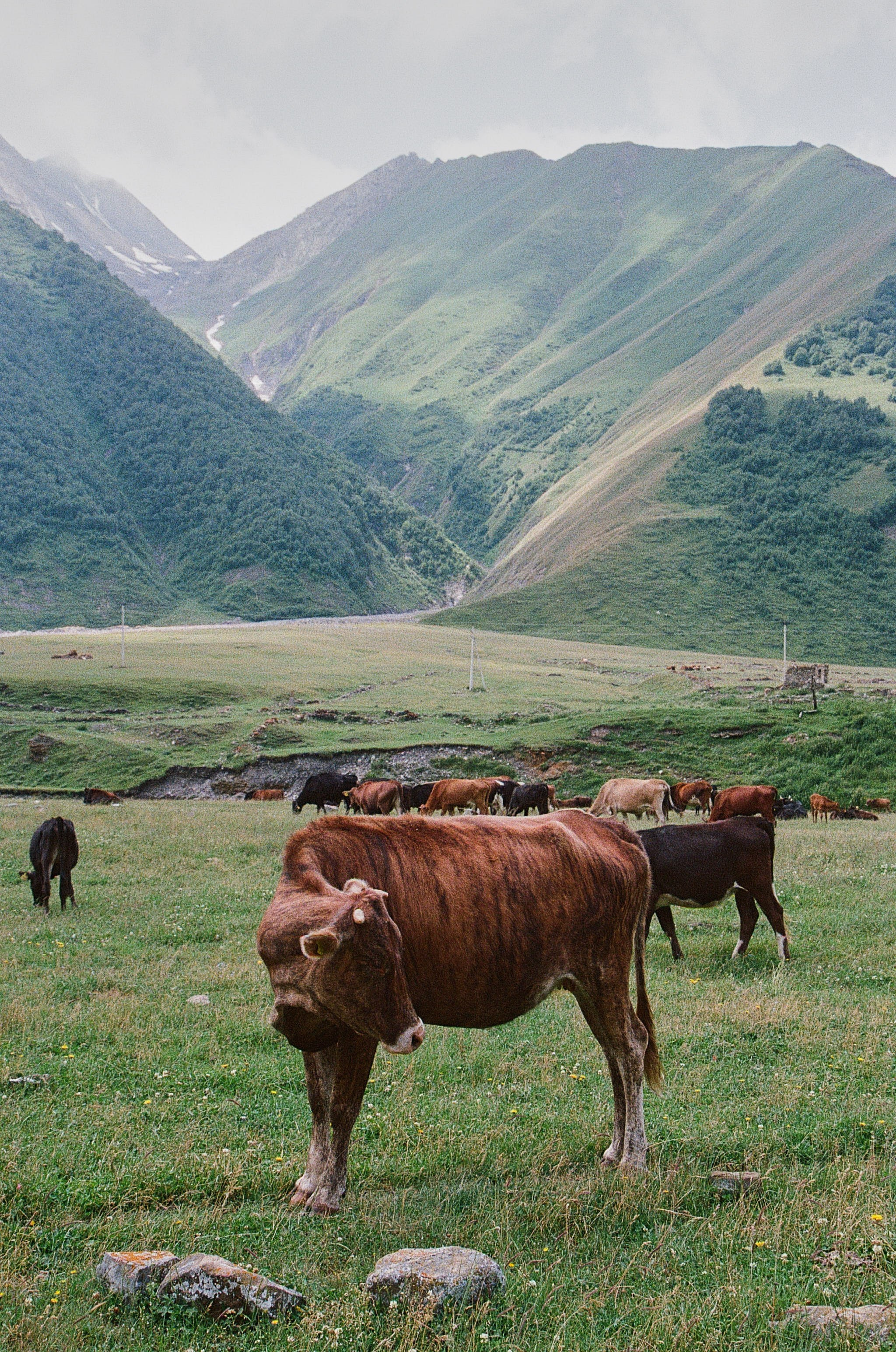 ГРУЗИЯ. ПРИРОДА.25. Профессиональный фотограф Федотова Арина