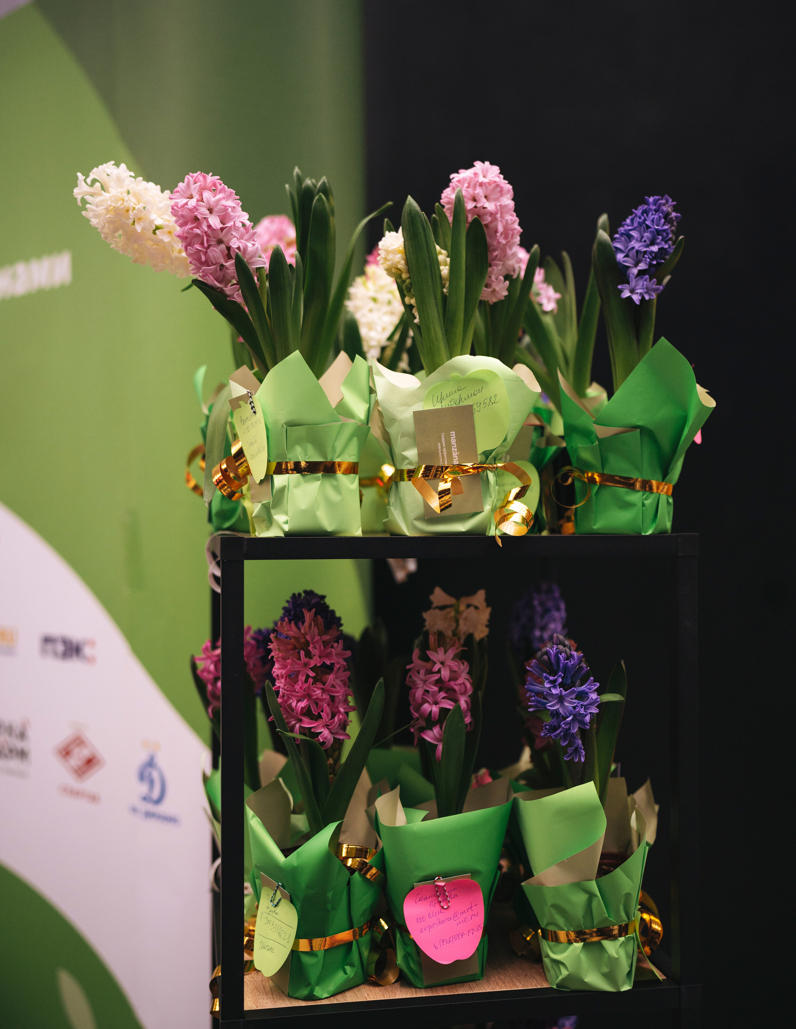 WED DAY — 6 ежегодный конгресс. Свадебный фотограф в Москве Кристина Чехова